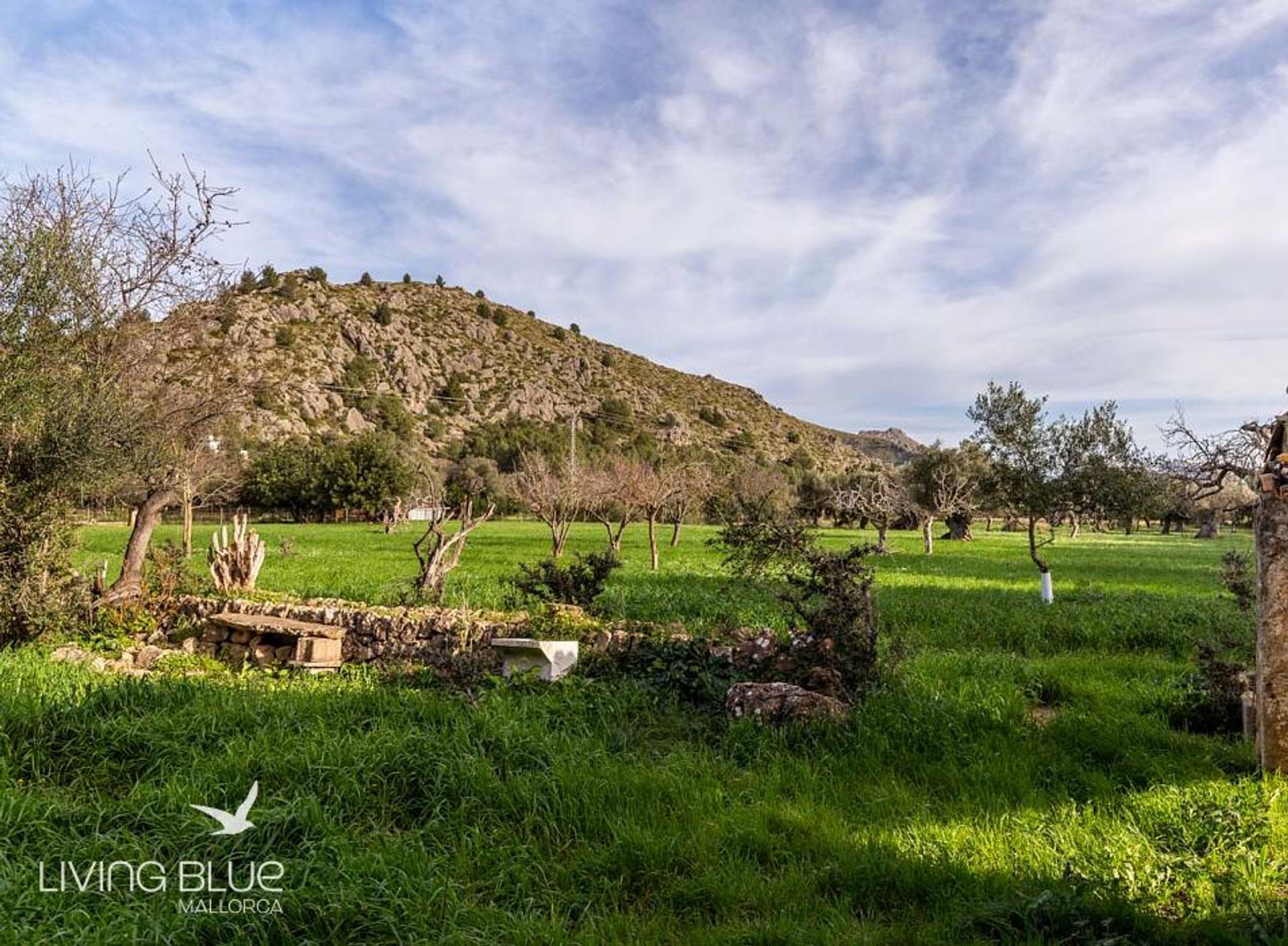 Andet i Pollença, Balearic Islands 10176114