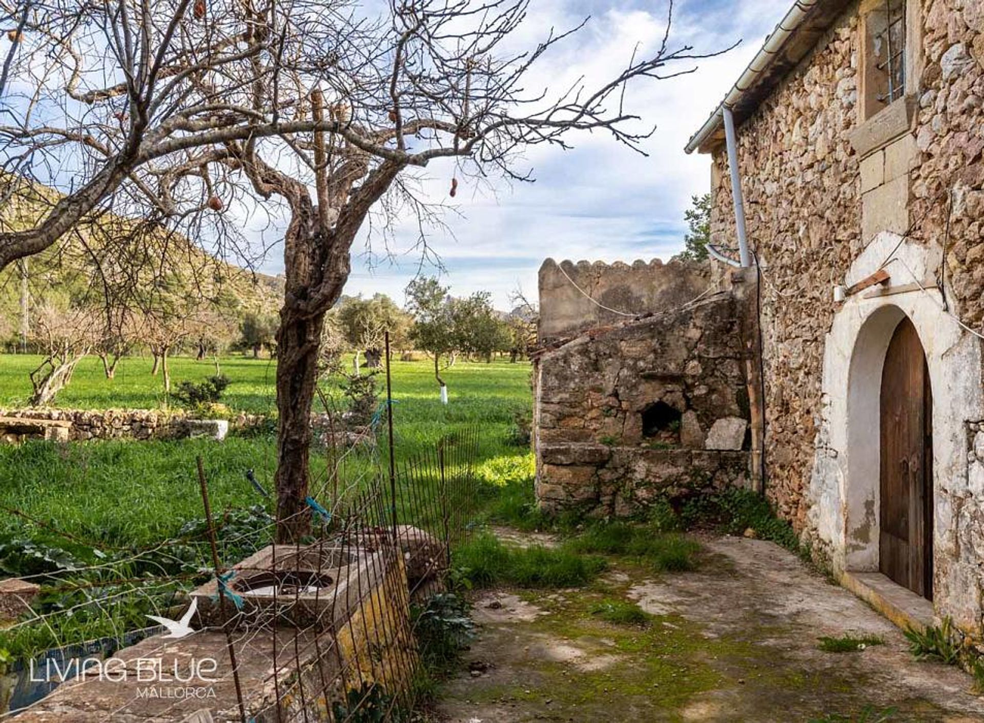 Andet i Pollença, Balearic Islands 10176114