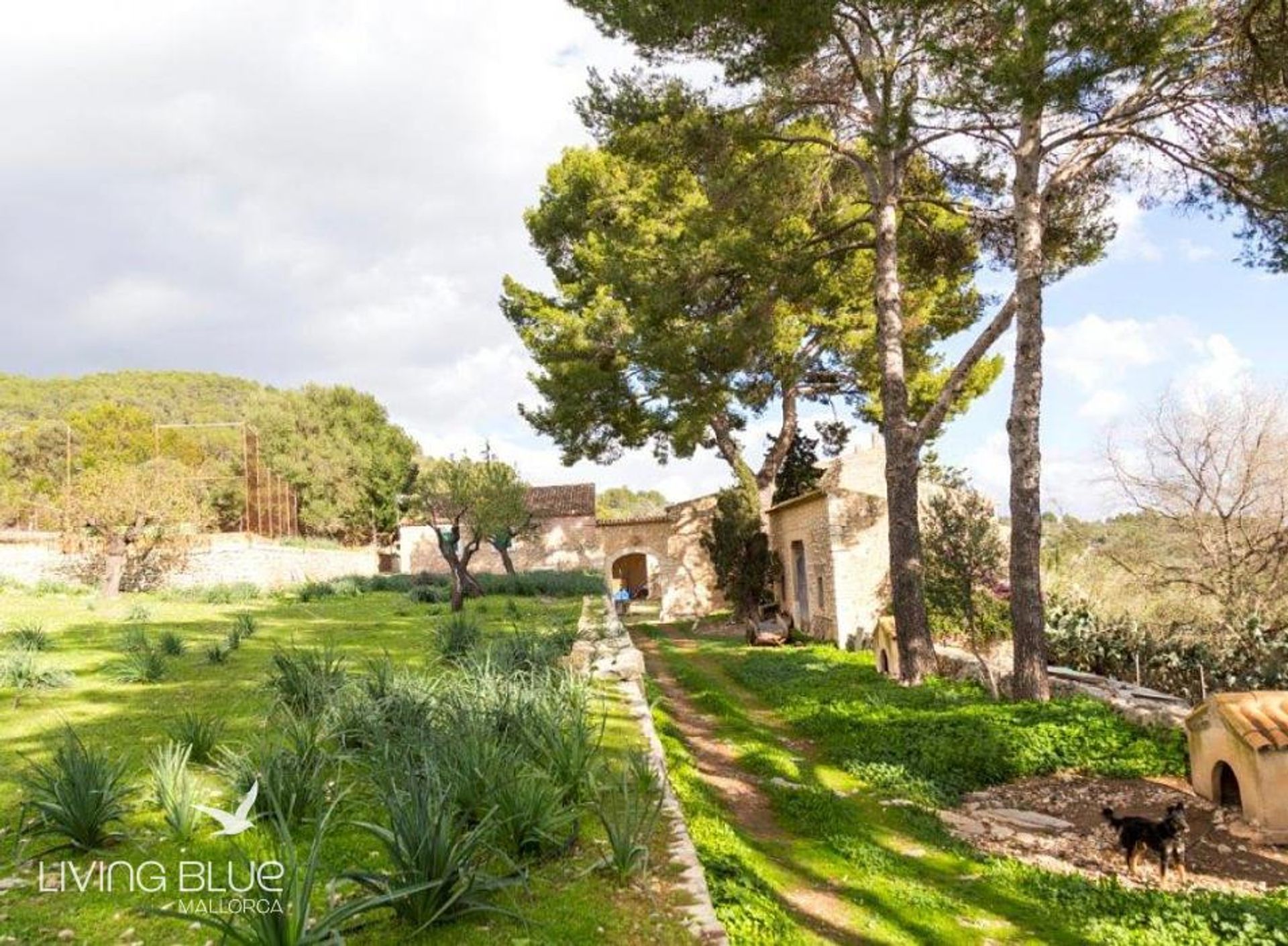 Casa nel Binissalem, Balearic Islands 10176143