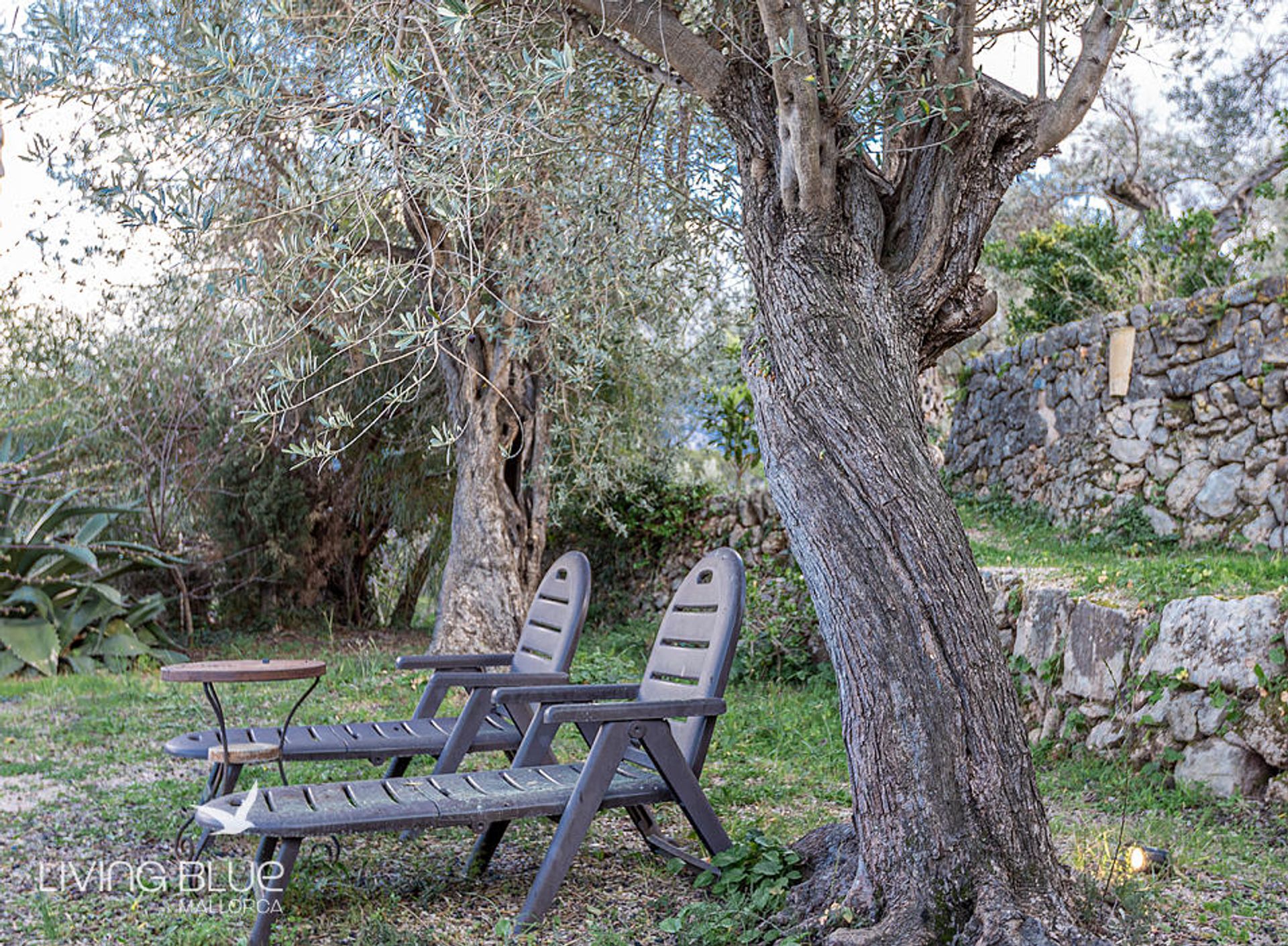 其他 在 Sóller, Balearic Islands 10176176