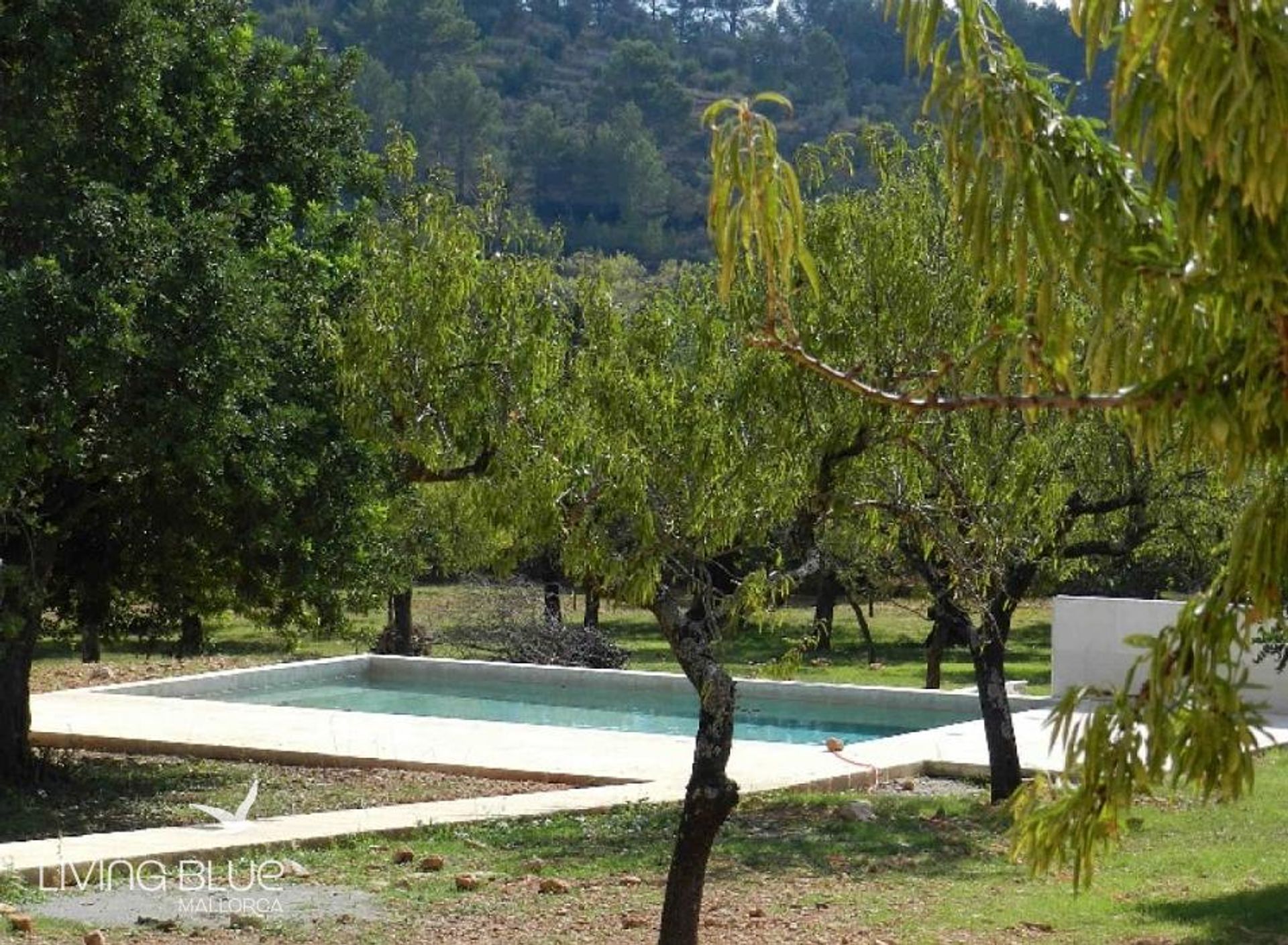 Casa nel Selva, Isole Baleari 10176189