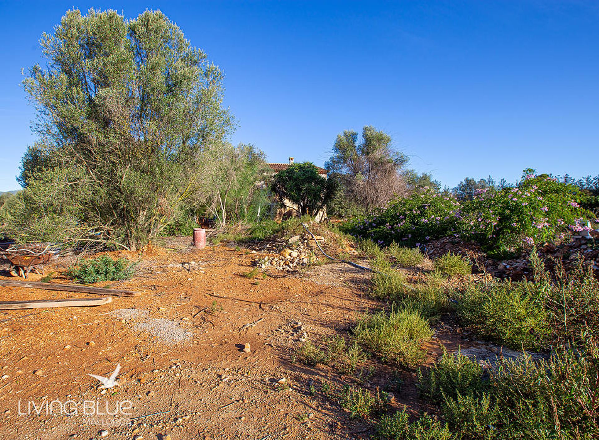 Другой в , Balearic Islands 10176200