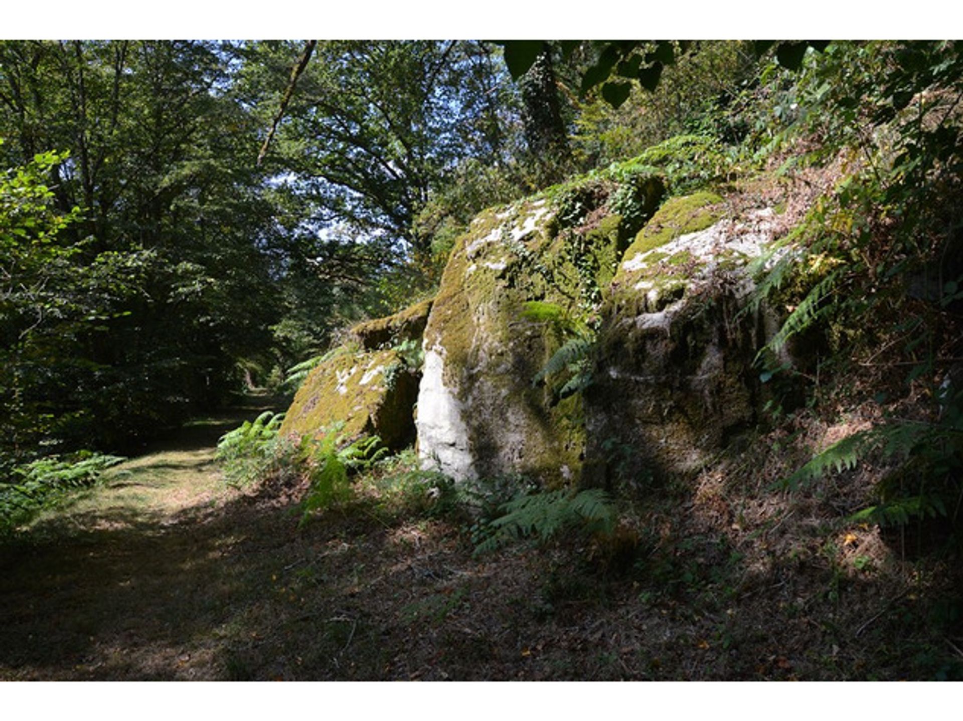 loger dans Val-d'Oire-et-Gartempe, Nouvelle-Aquitaine 10176303