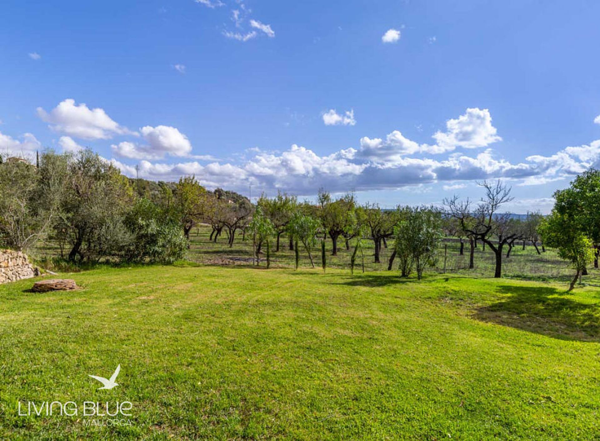 Autre dans Alaró, Balearic Islands 10176416