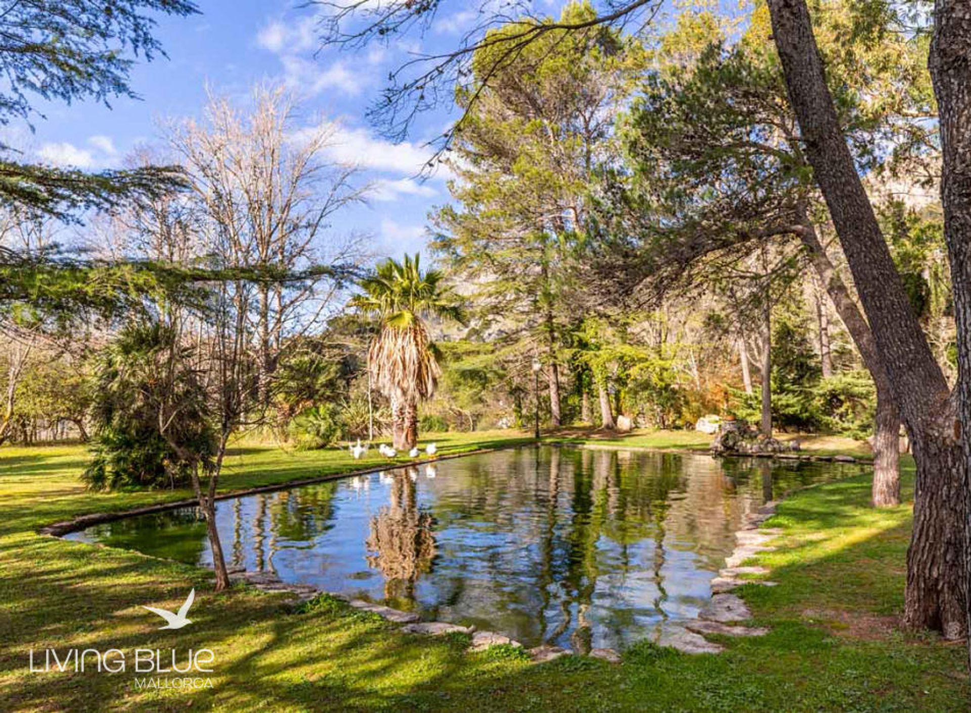 Autre dans Escorca, Balearic Islands 10176519