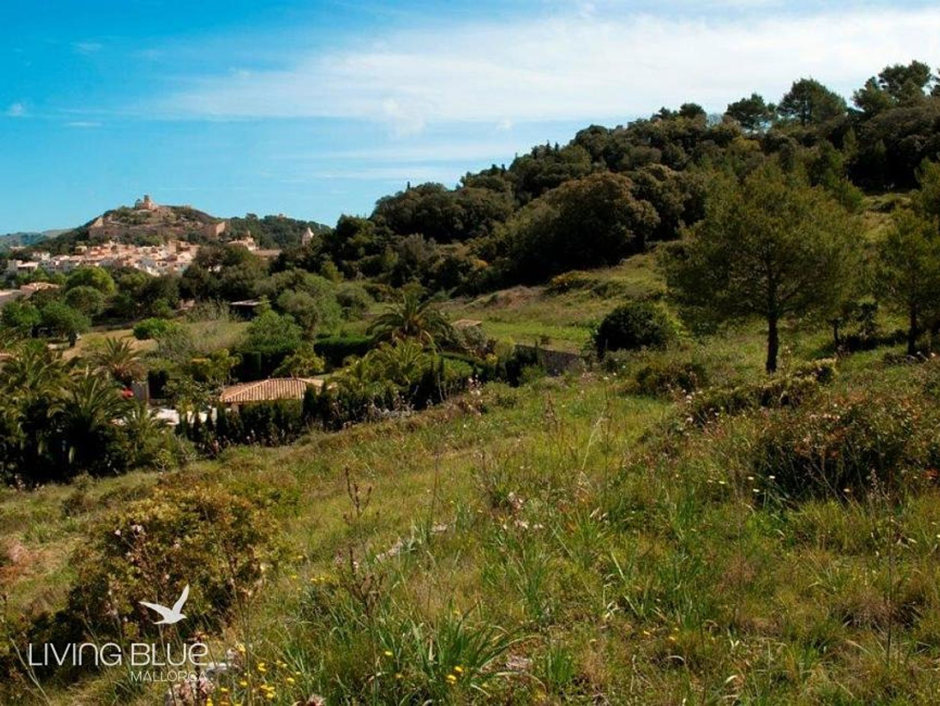 Autre dans Capdepera, les Îles Baléares 10176594