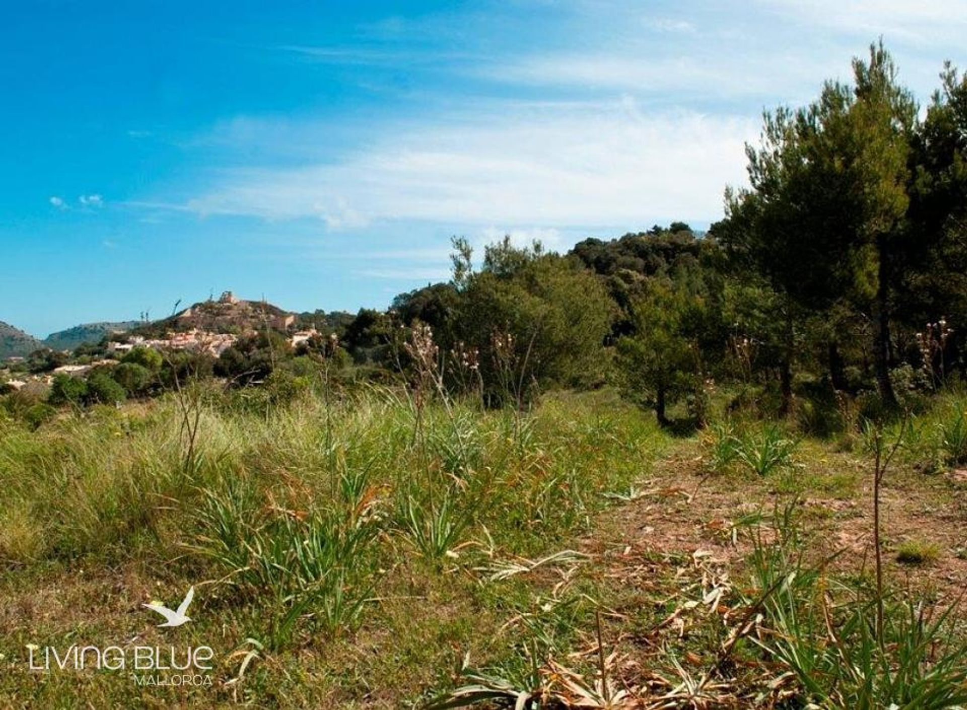 Autre dans Capdepera, les Îles Baléares 10176594