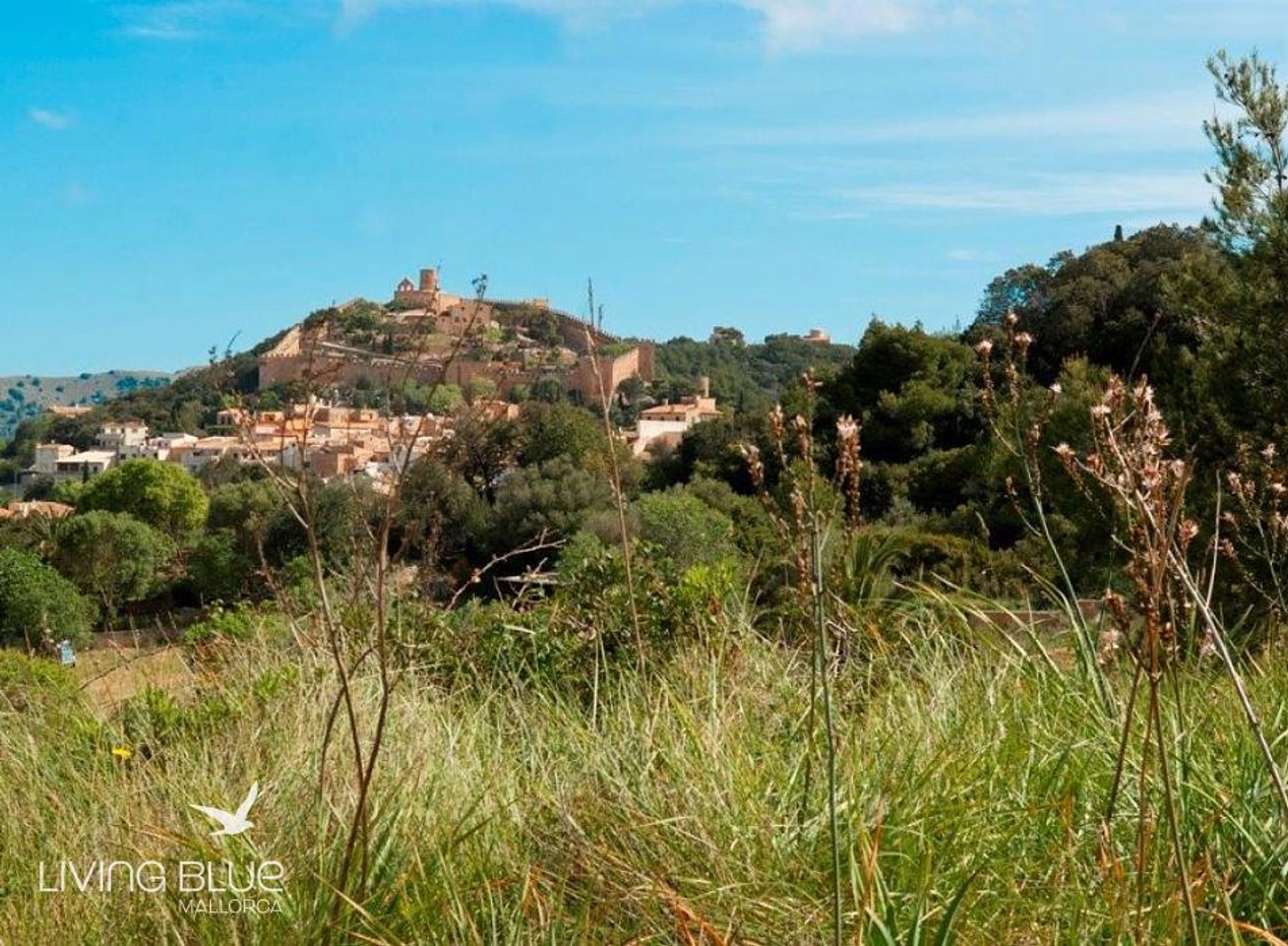 Autre dans Capdepera, les Îles Baléares 10176594