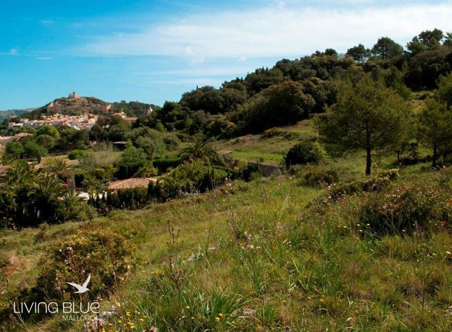 Autre dans Capdepera, les Îles Baléares 10176594