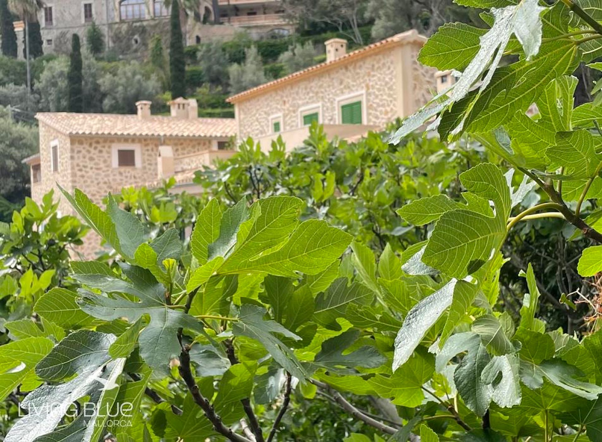 Haus im Deià, Balearic Islands 10176601