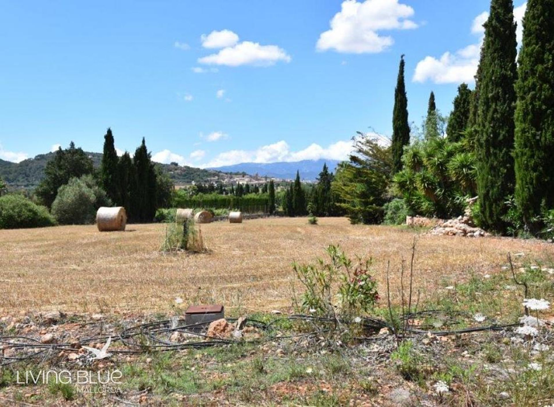 آخر في Santa Eugènia, Balearic Islands 10176634