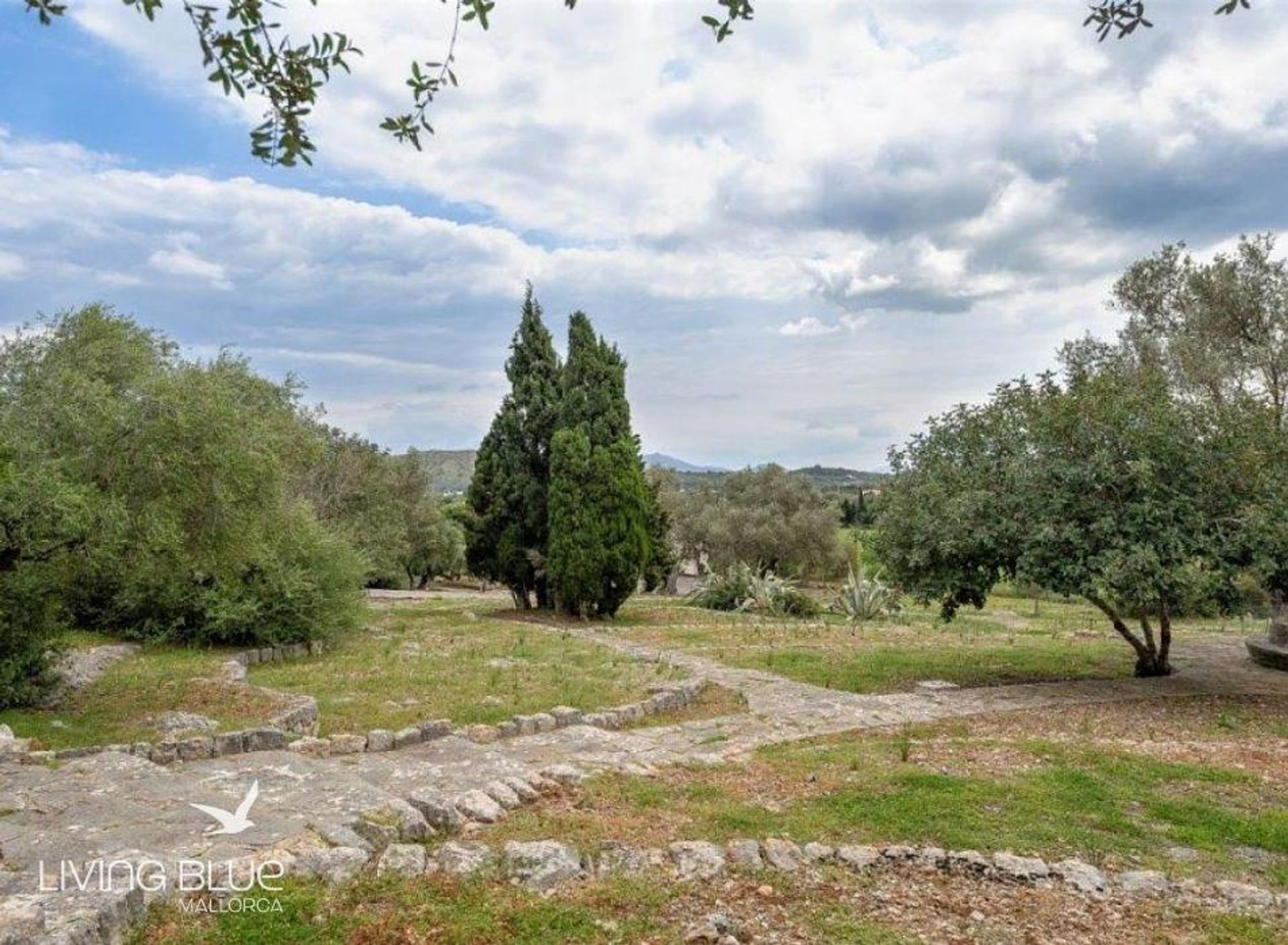 Altro nel Pollença, Balearic Islands 10176662