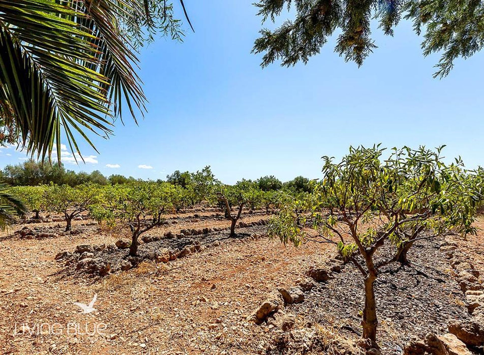 Muu sisään Santa Maria del Camí, Balearic Islands 10176676