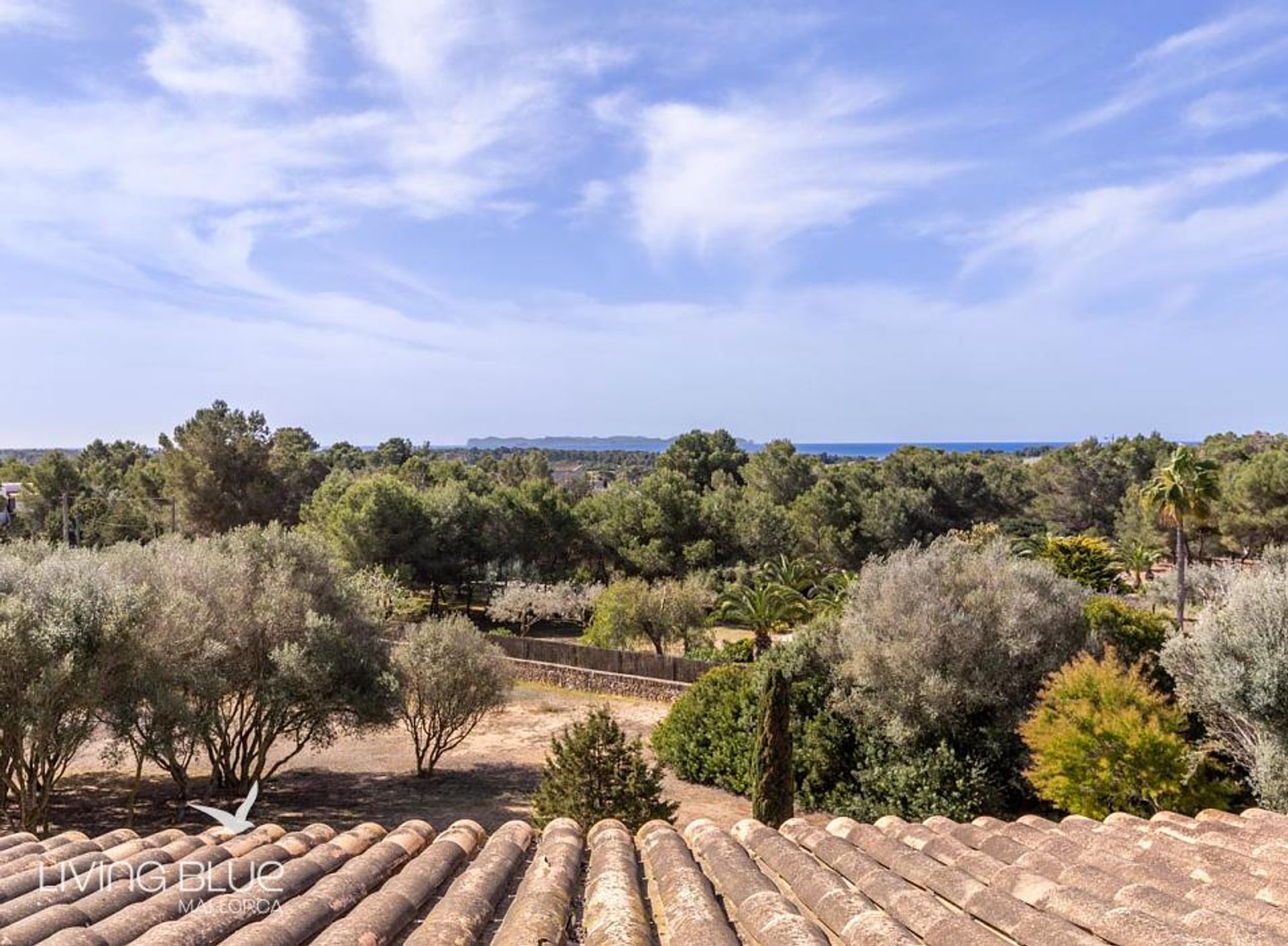 Αλλα σε Ses Salines, Balearic Islands 10176689