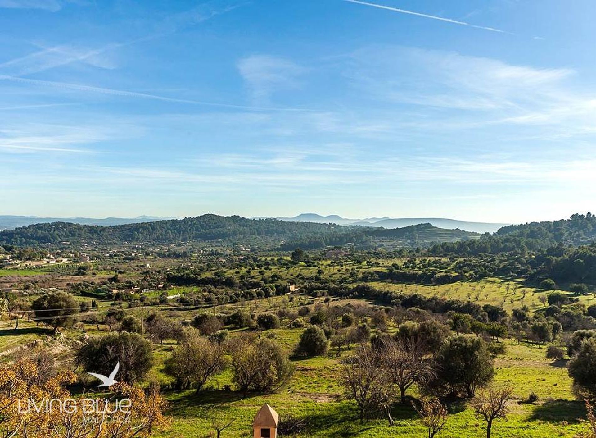 Lain di Alaró, Balearic Islands 10176707