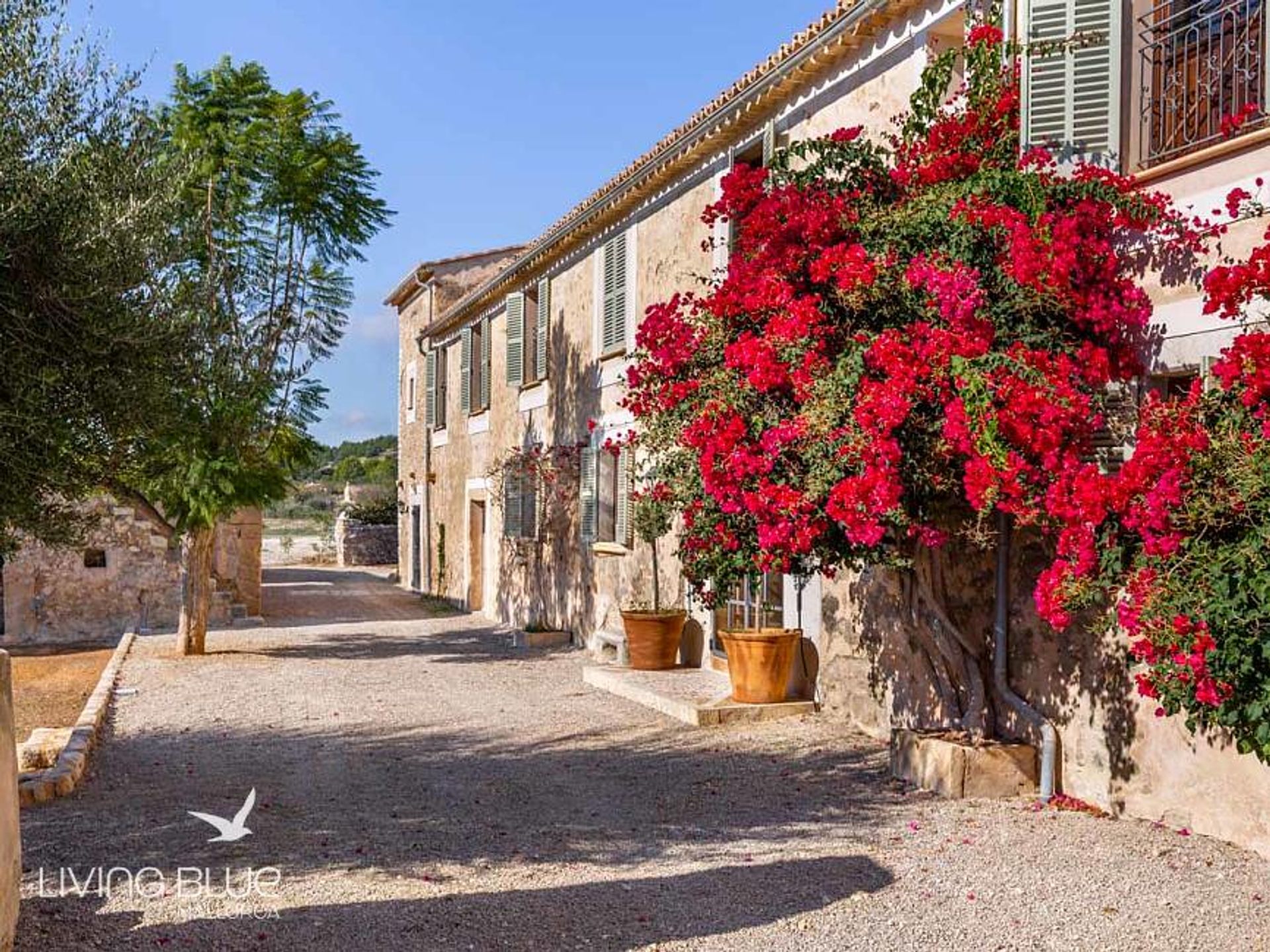 Altro nel Santa Maria del Camí, Balearic Islands 10176710