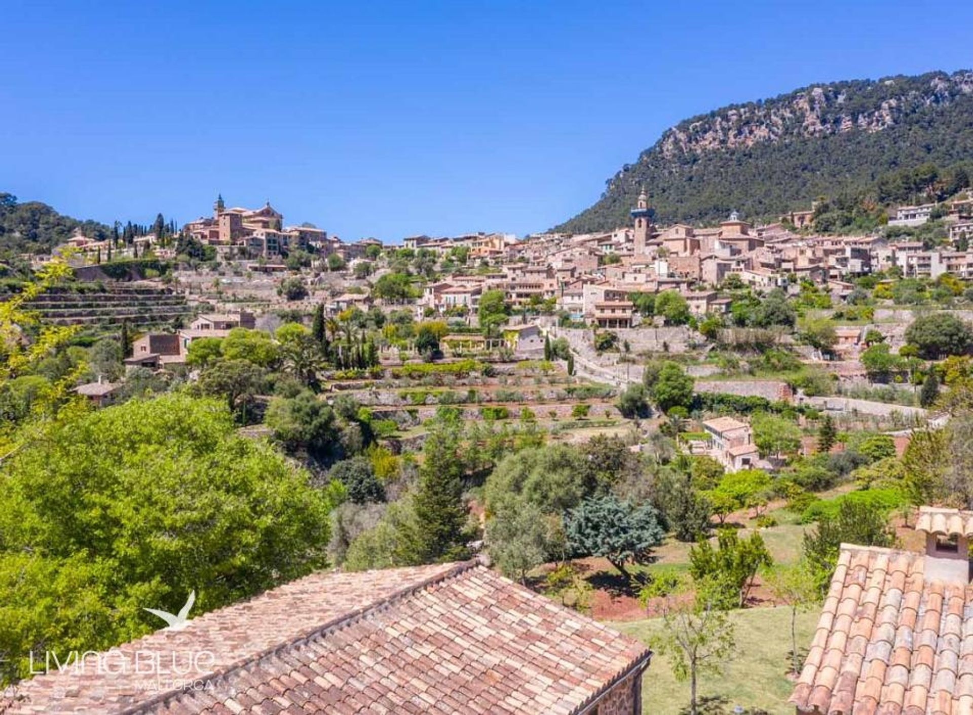 Inny w Valldemossa, Balearic Islands 10176731