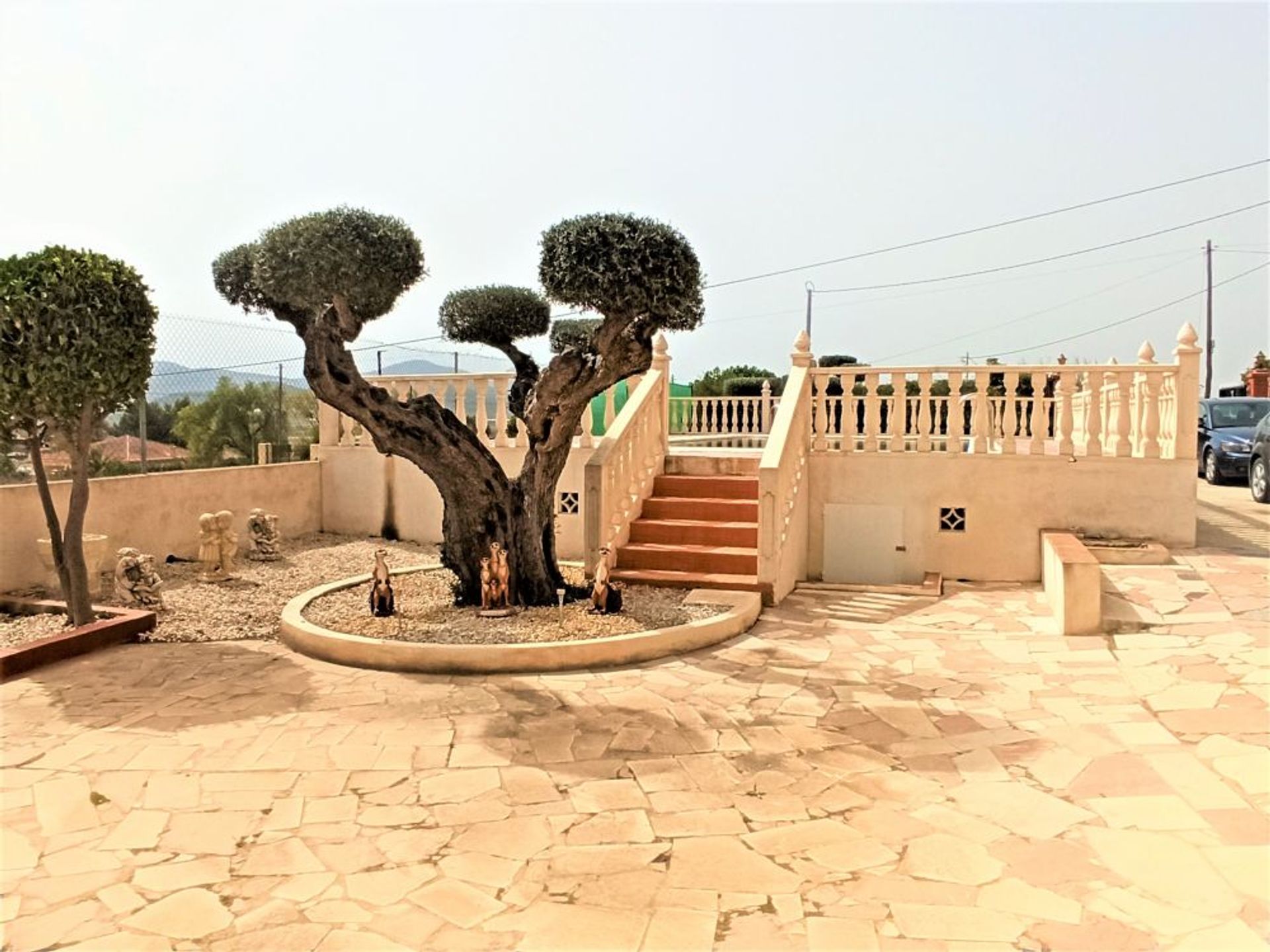 Hus i El Fondó de les Neus, Valencian Community 10177549