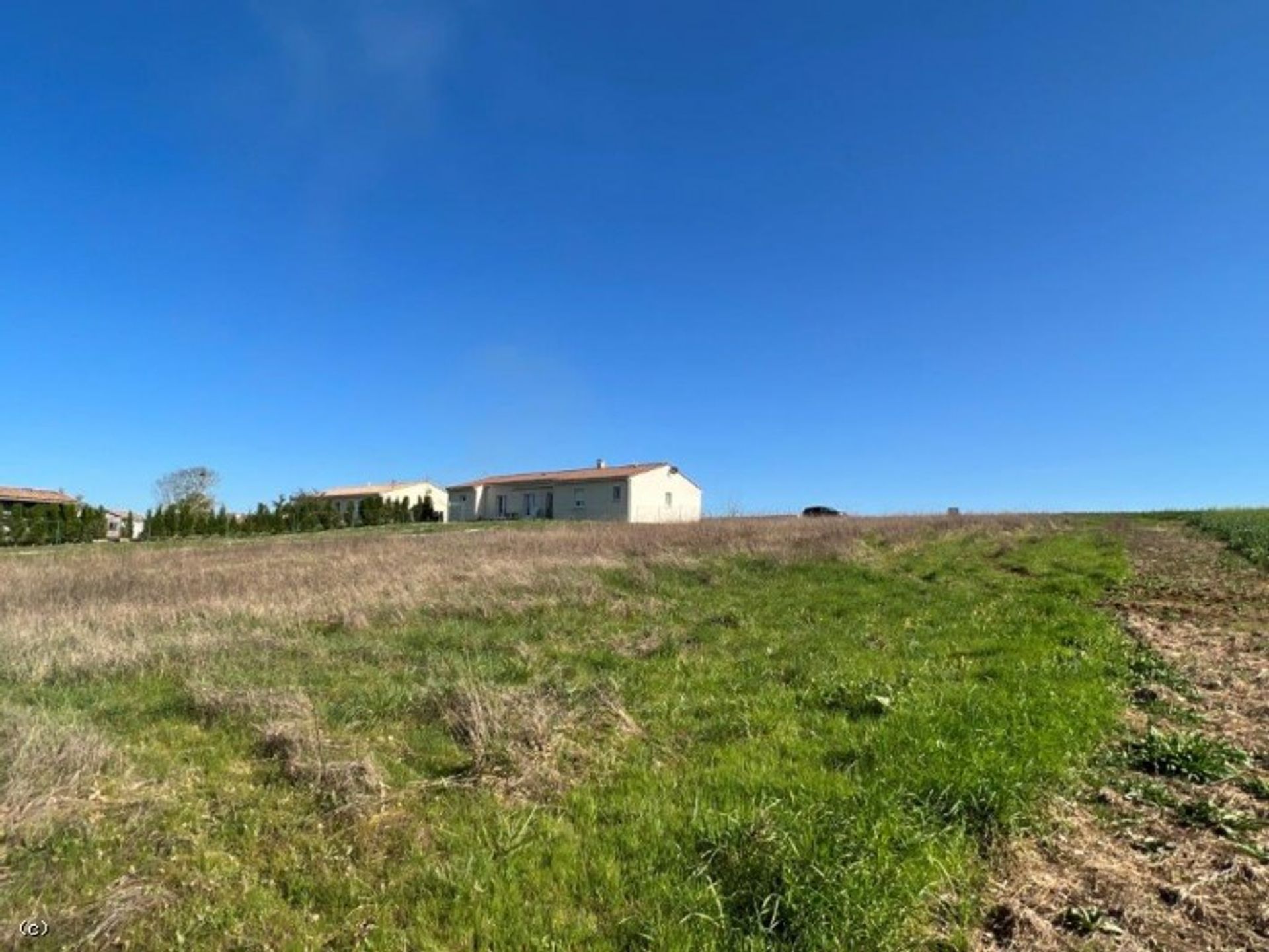 Land in Verteuil-sur-Charente, Nouvelle-Aquitaine 10177554