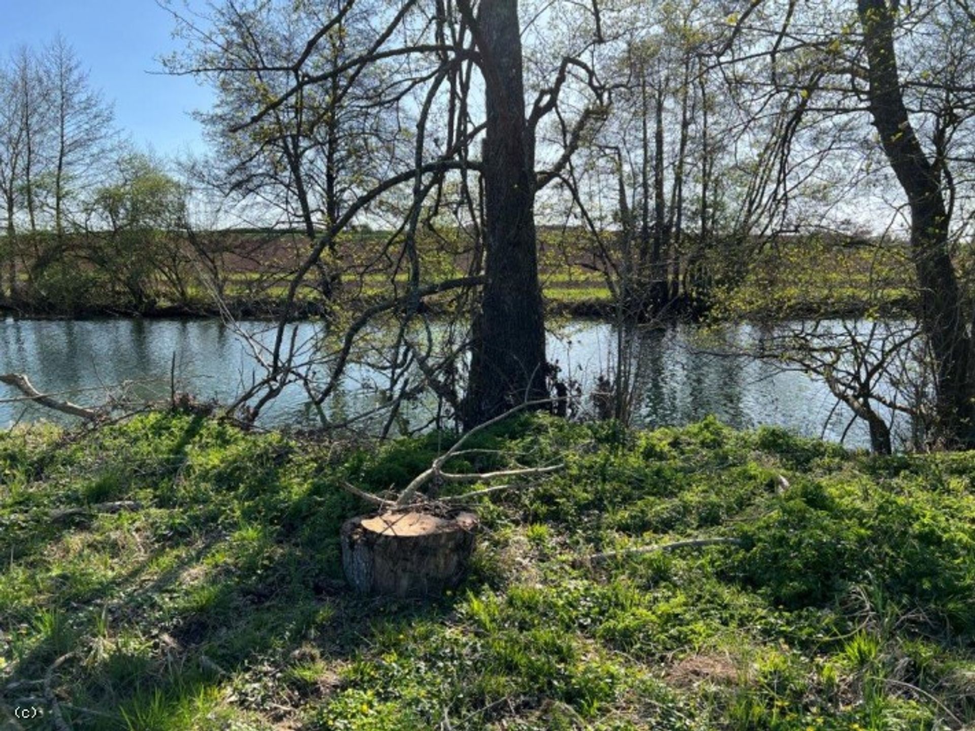 Land im Verteuil-sur-Charente, Nouvelle-Aquitaine 10177555