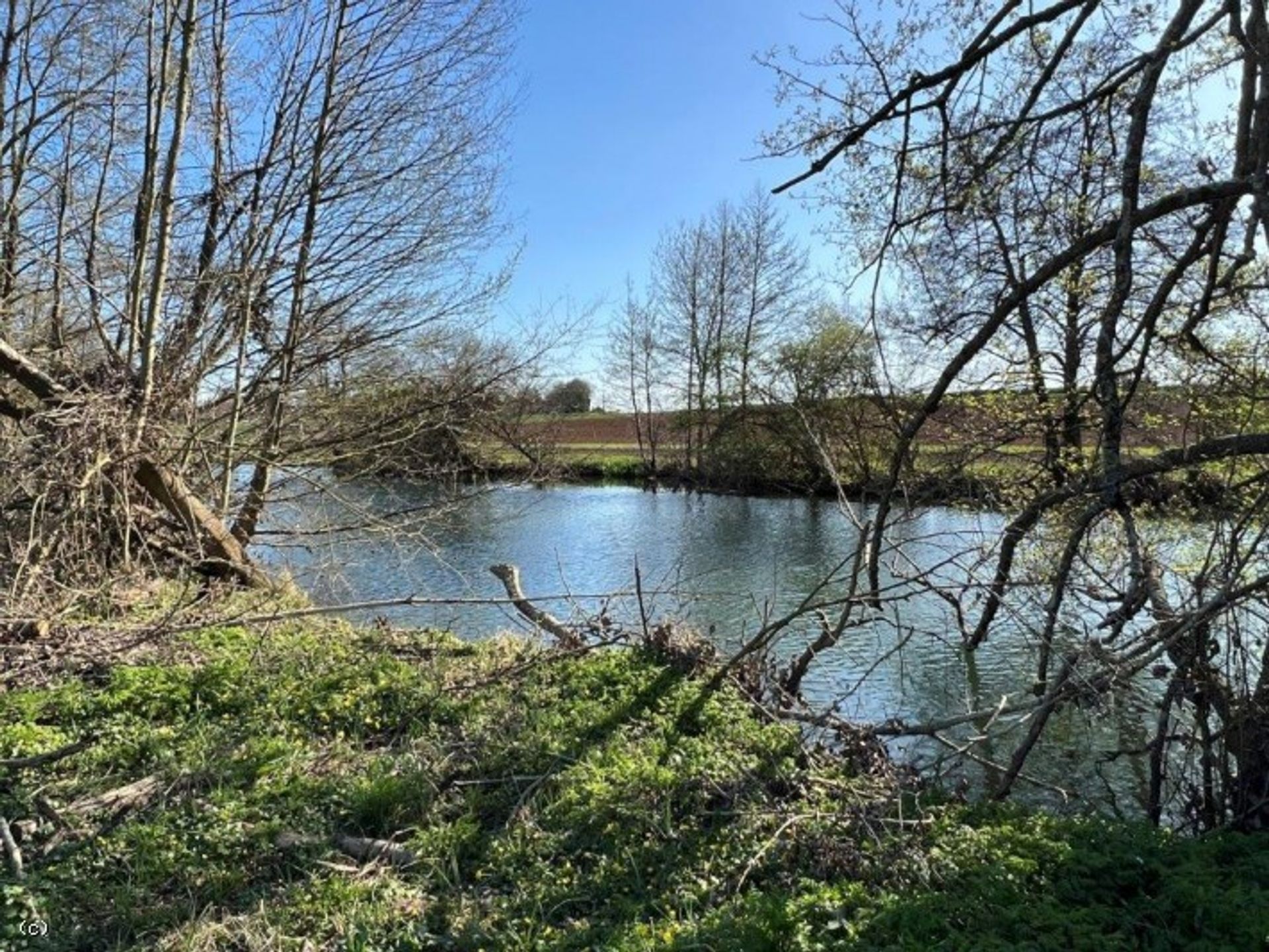 Tierra en Verteuil-sur-Charente, Nouvelle-Aquitaine 10177555