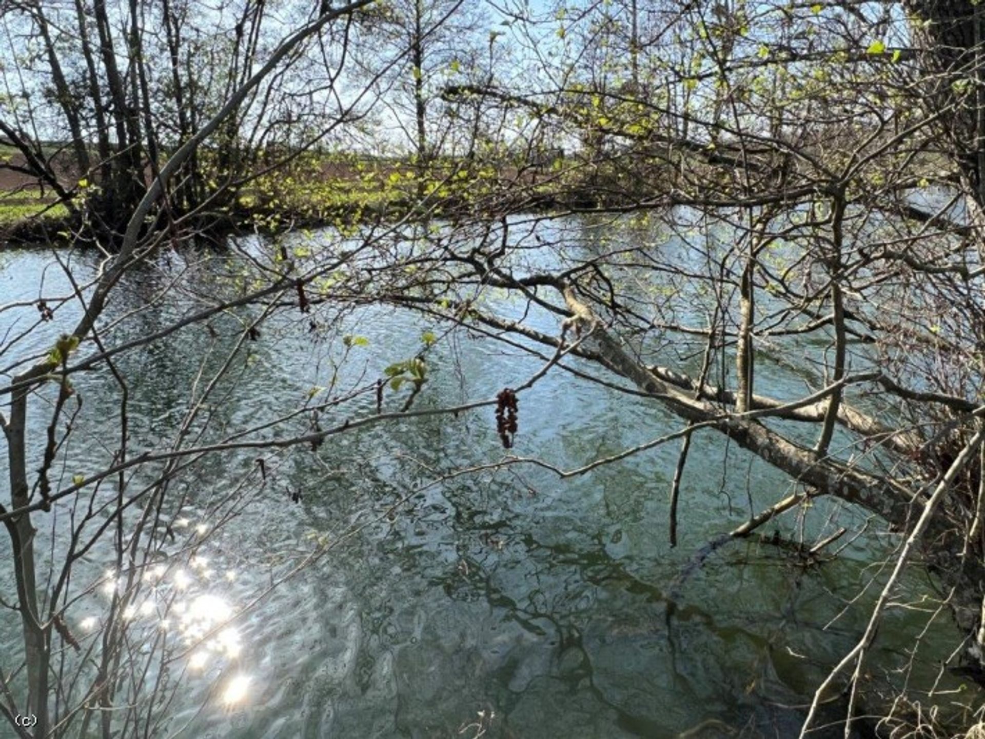 الأرض في Verteuil-sur-Charente, Nouvelle-Aquitaine 10177555