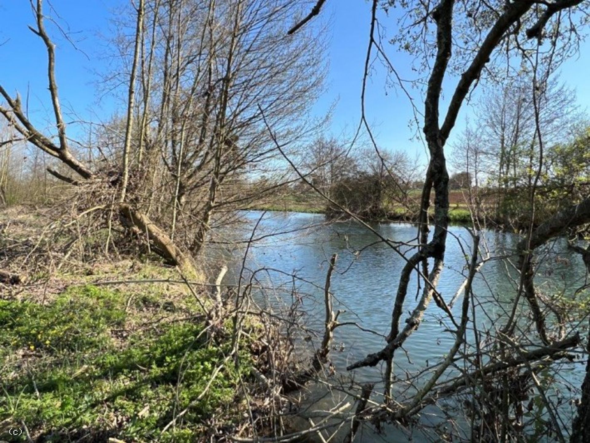 土地 在 Verteuil-sur-Charente, Nouvelle-Aquitaine 10177555