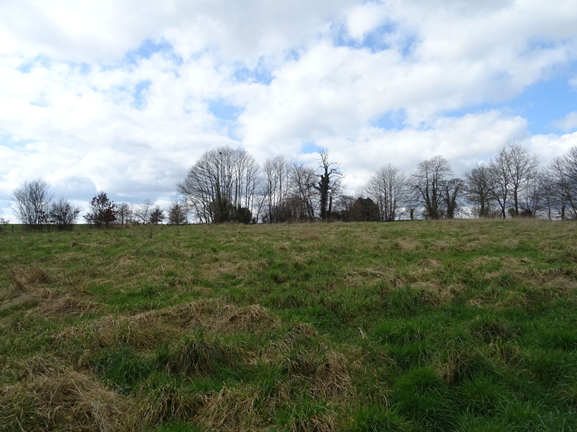 rumah dalam Sainte-Marie-du-Bois, Normandie 10177575