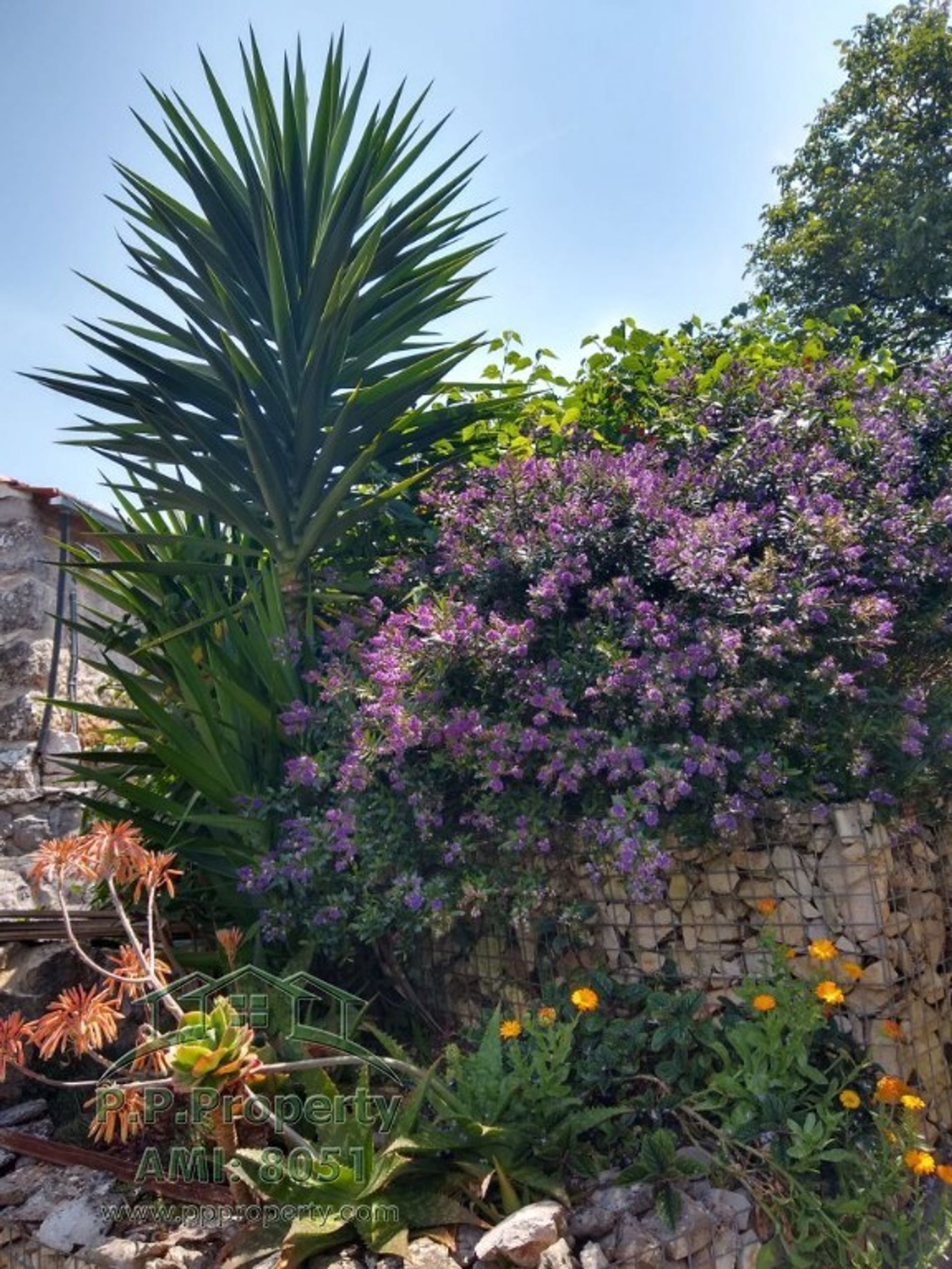 rumah dalam Ansião, Leiria District 10177785