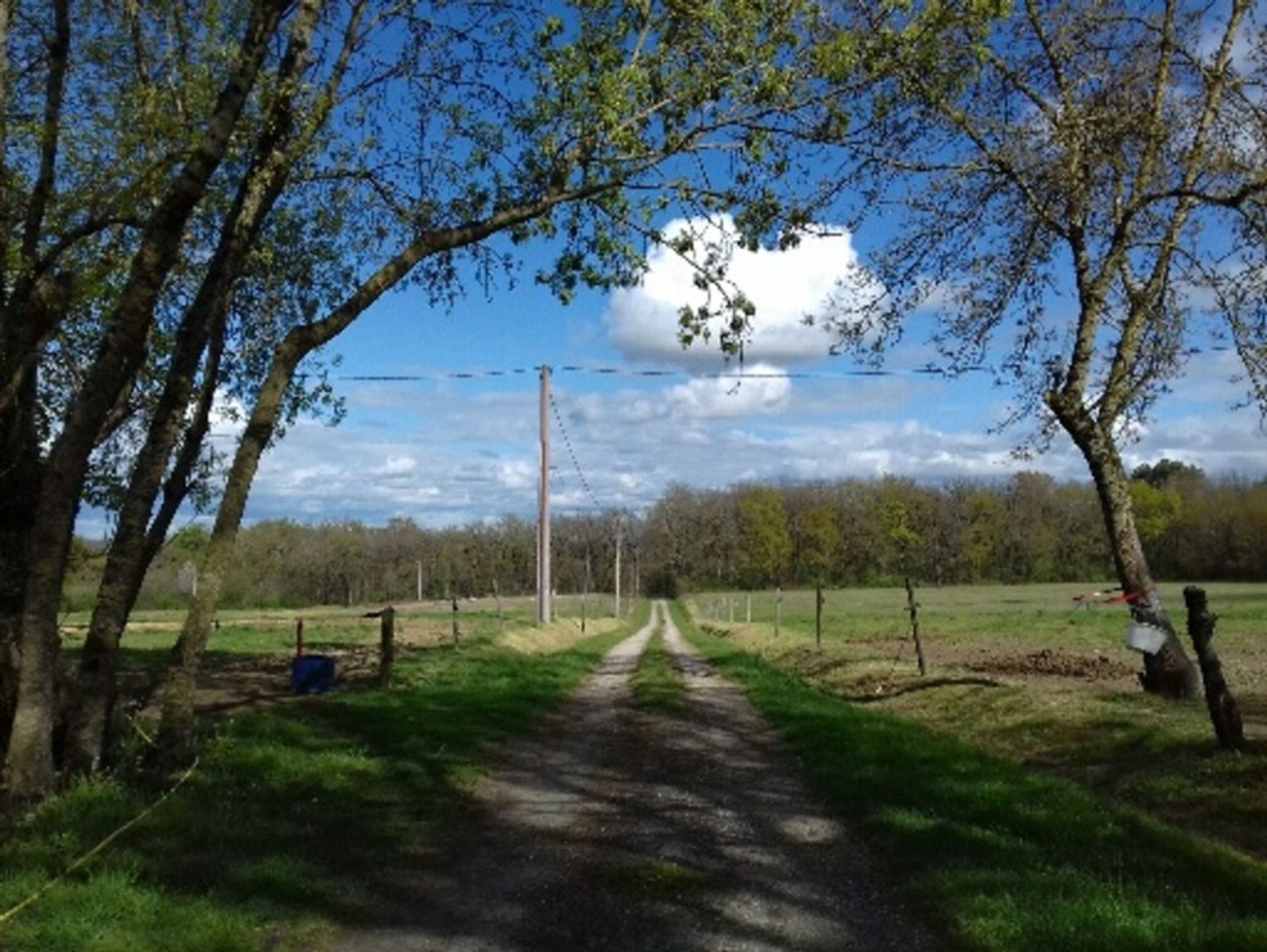 Будинок в Saint-Maurice-de-Lestapel, Nouvelle-Aquitaine 10177969