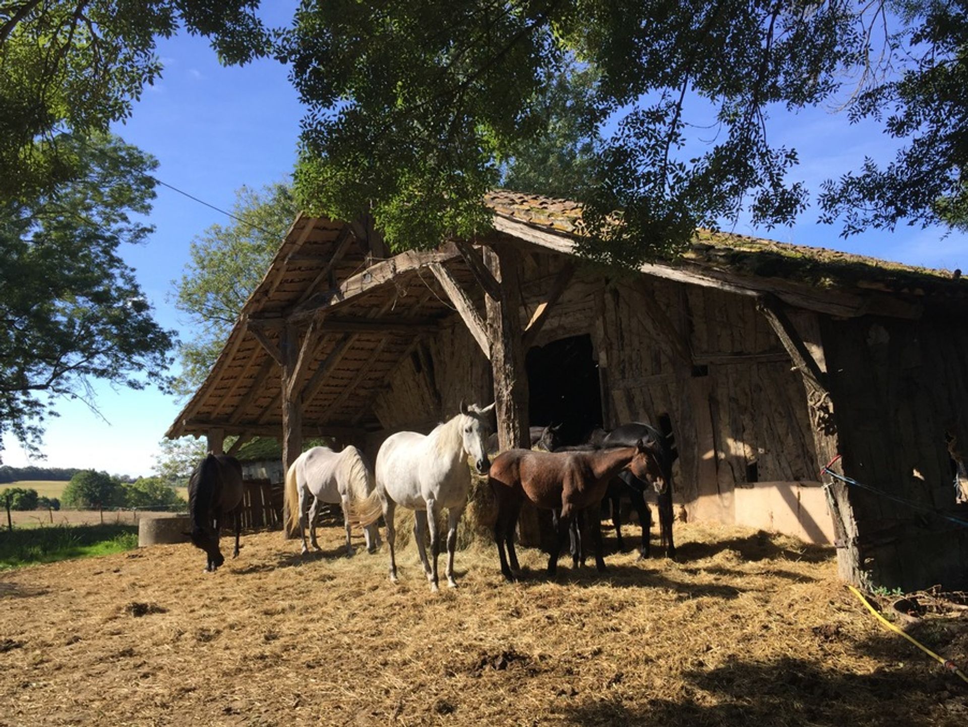 casa no Saint-Maurice-de-Lestapel, Nouvelle-Aquitaine 10177969