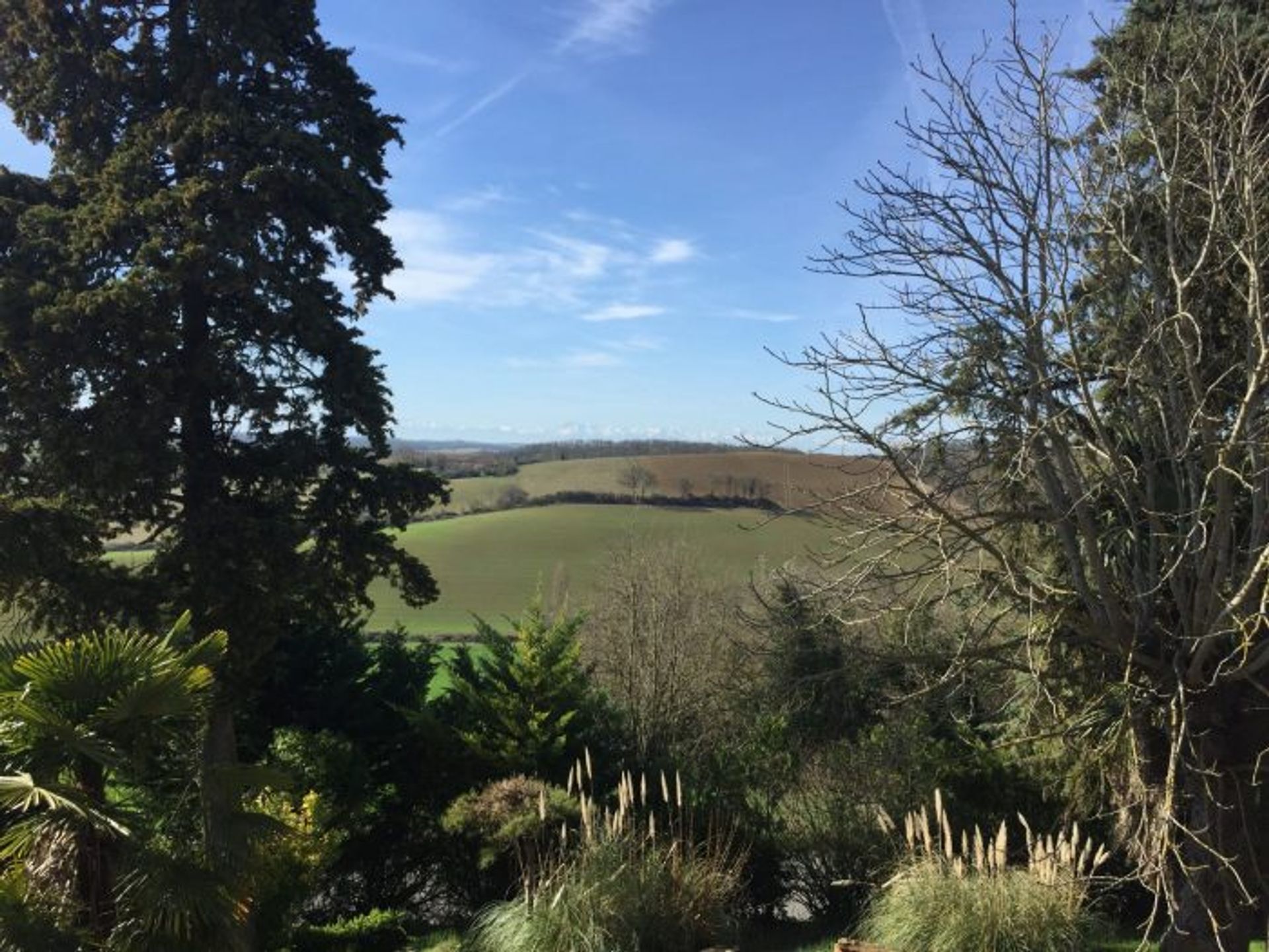 Otro en Mongausy, Occitanie 10178089