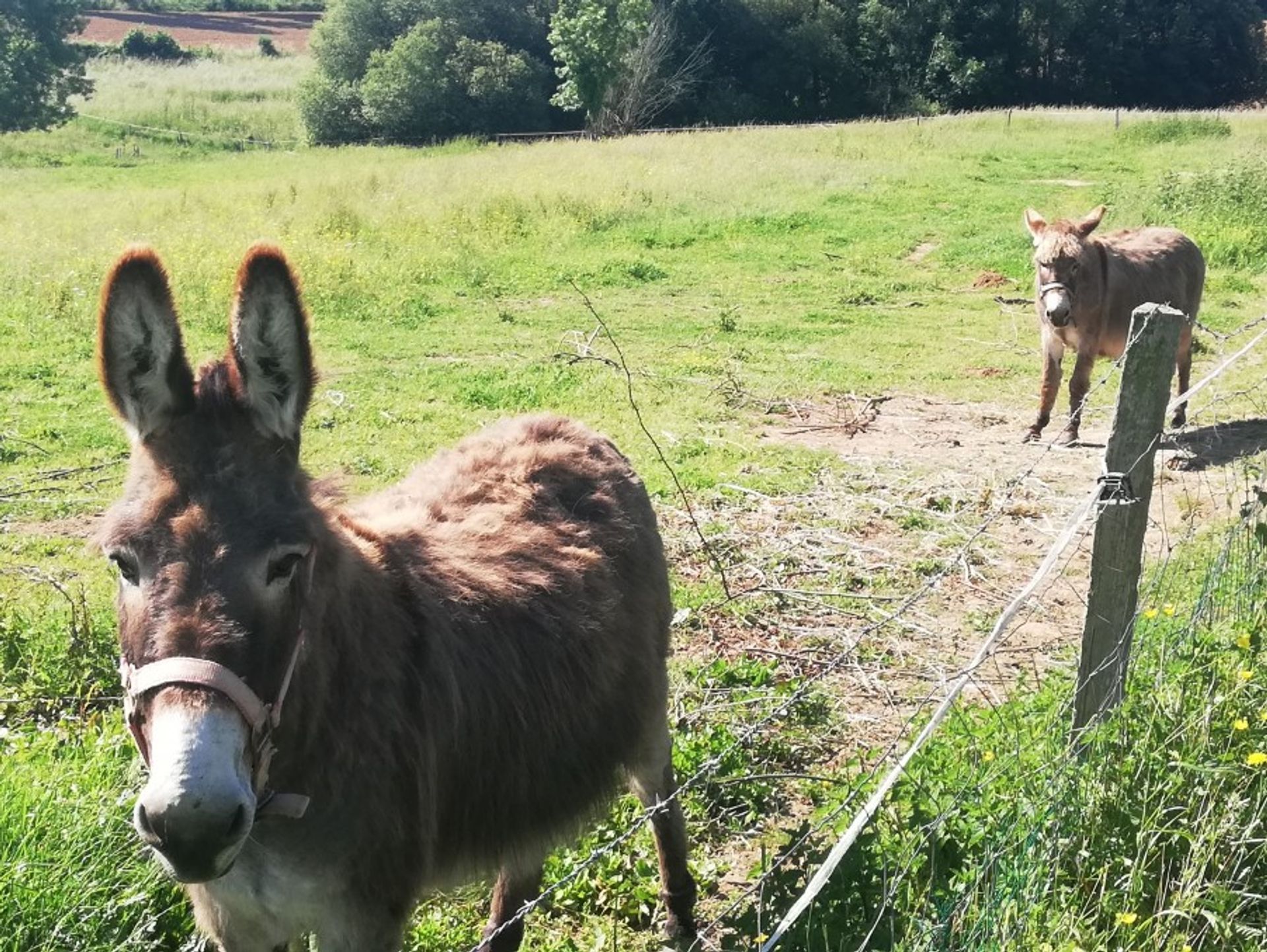 मकान में Chasseneuil-sur-Bonnieure, Nouvelle-Aquitaine 10178116