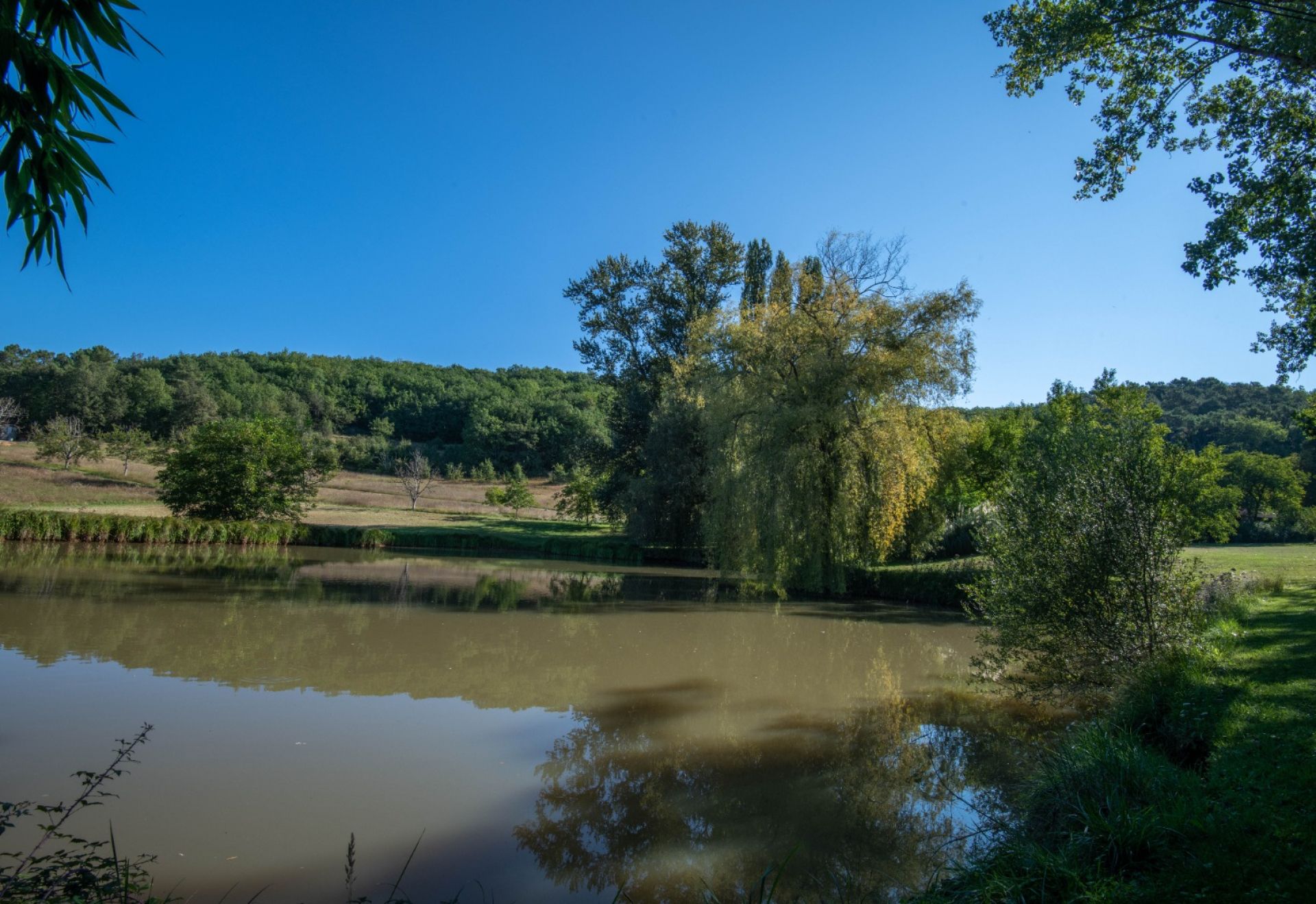 집 에 Saint-Cyprien, Nouvelle-Aquitaine 10178213