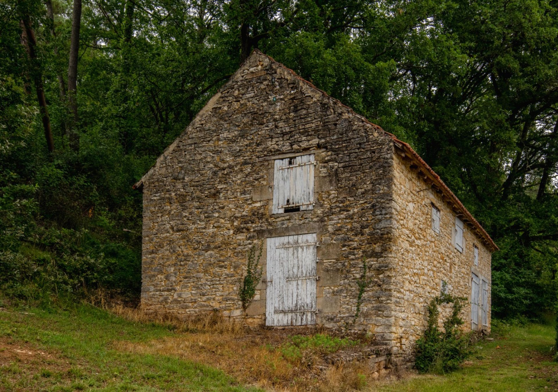 집 에 Saint-Cyprien, Nouvelle-Aquitaine 10178213