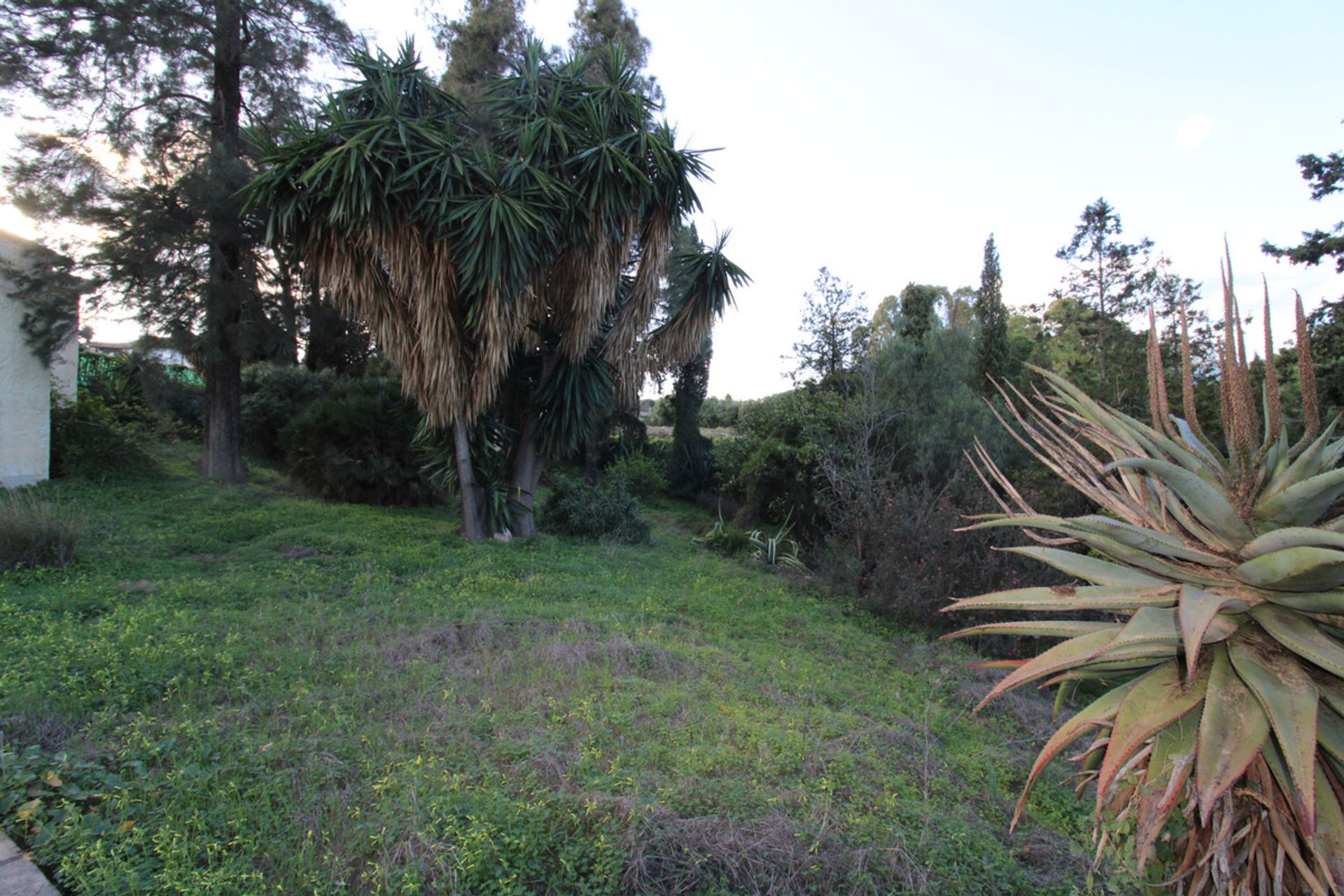 Haus im San Pedro de Alcántara, Andalusia 10180444