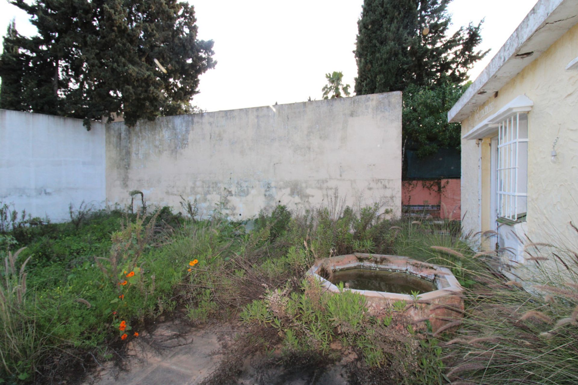 Haus im San Pedro de Alcántara, Andalusia 10180444