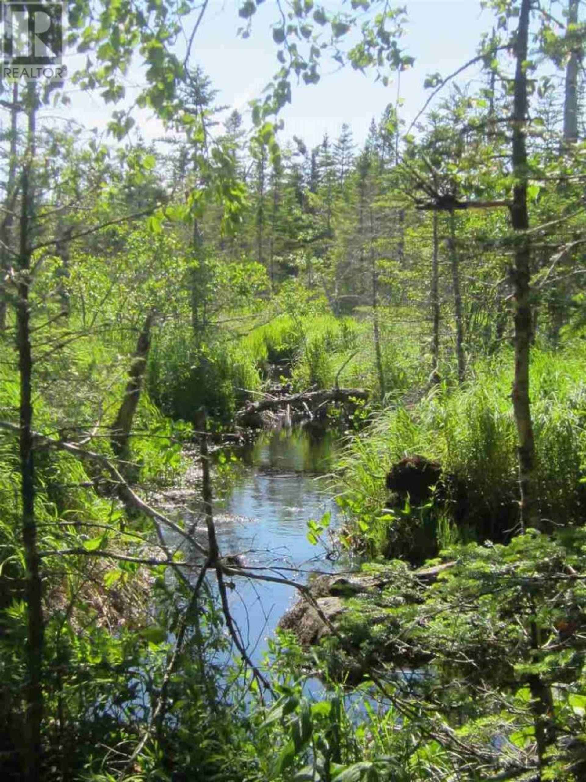 Земля в Saint Peter's, Nova Scotia 10180519