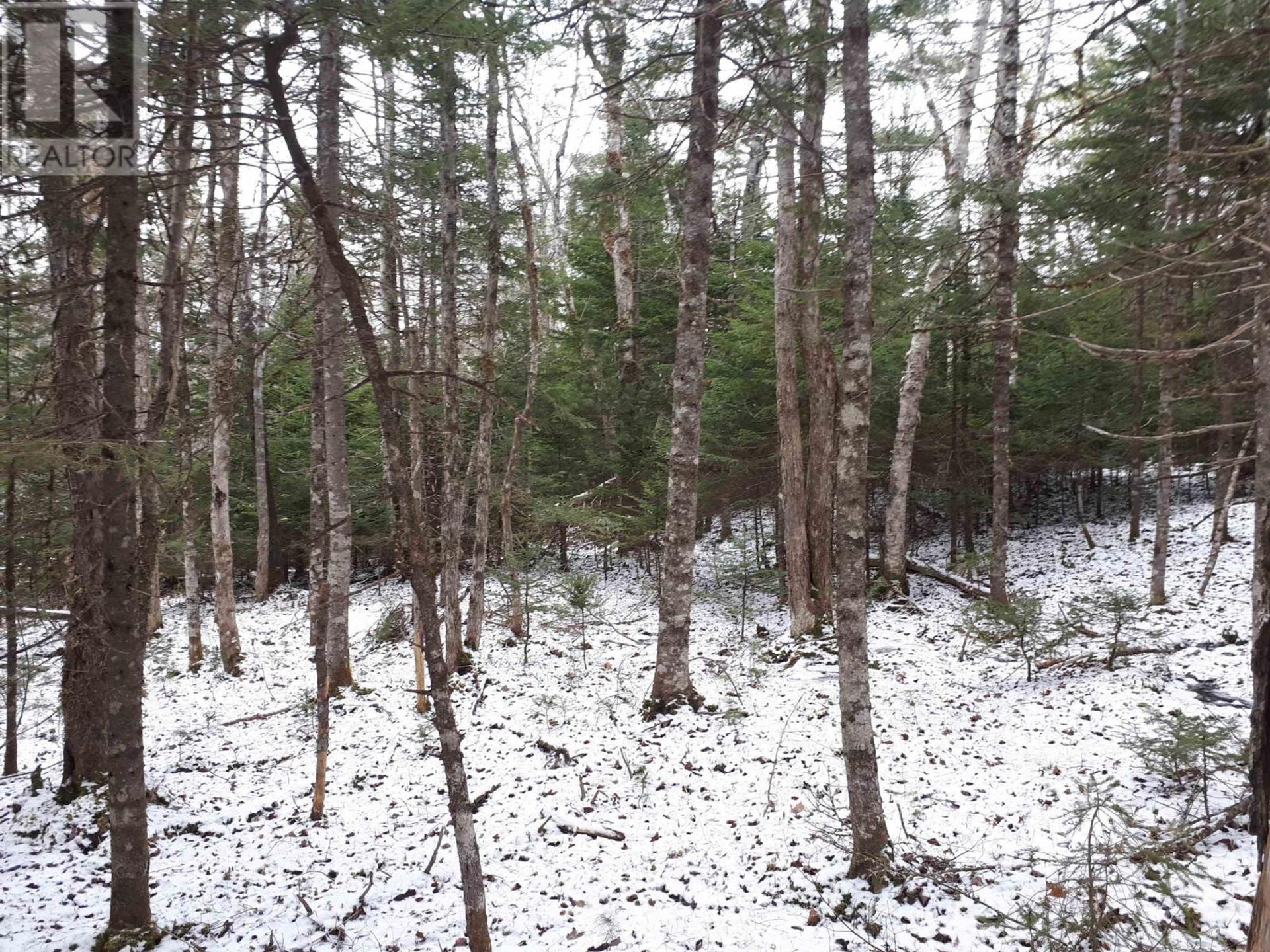 Land im Port Hawkesbury, Neuschottland 10180528