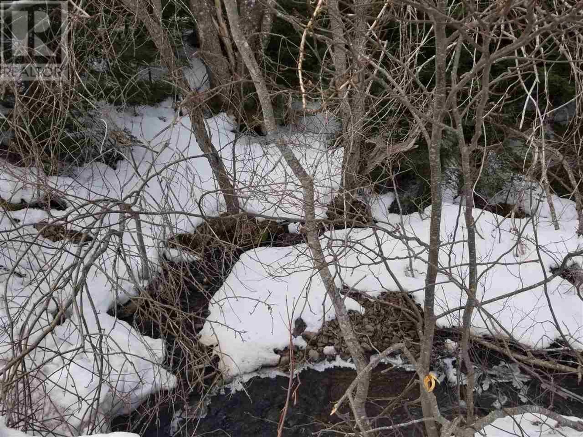 Γη σε Πορτ Χόκσμπερι, Νέα Σκωτία 10180574