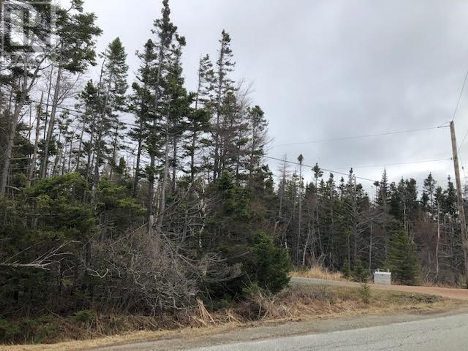 Land in Mulgrave, Nova Scotia 10180578