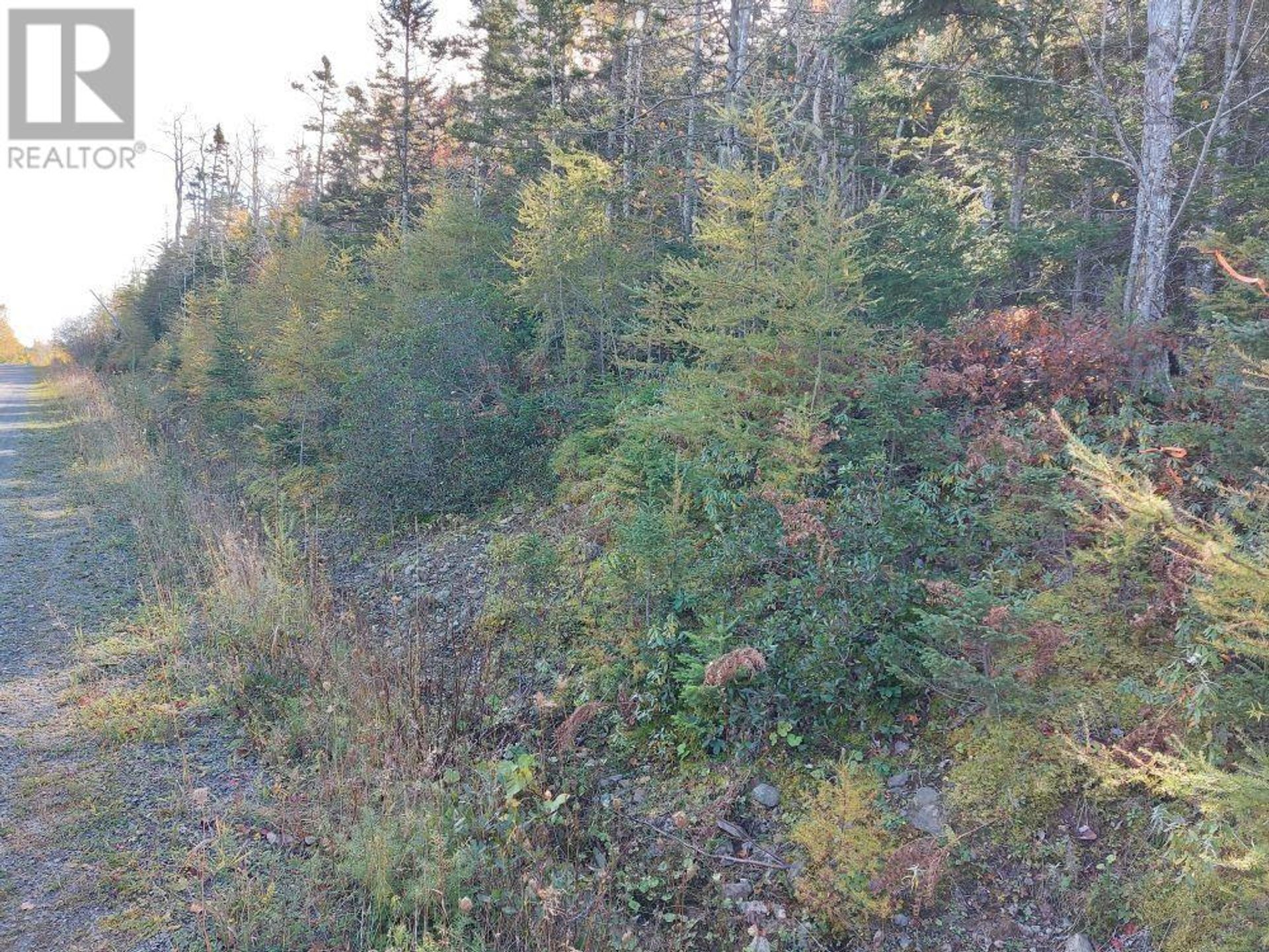 Land in Baddeck, Nova Scotia 10180583