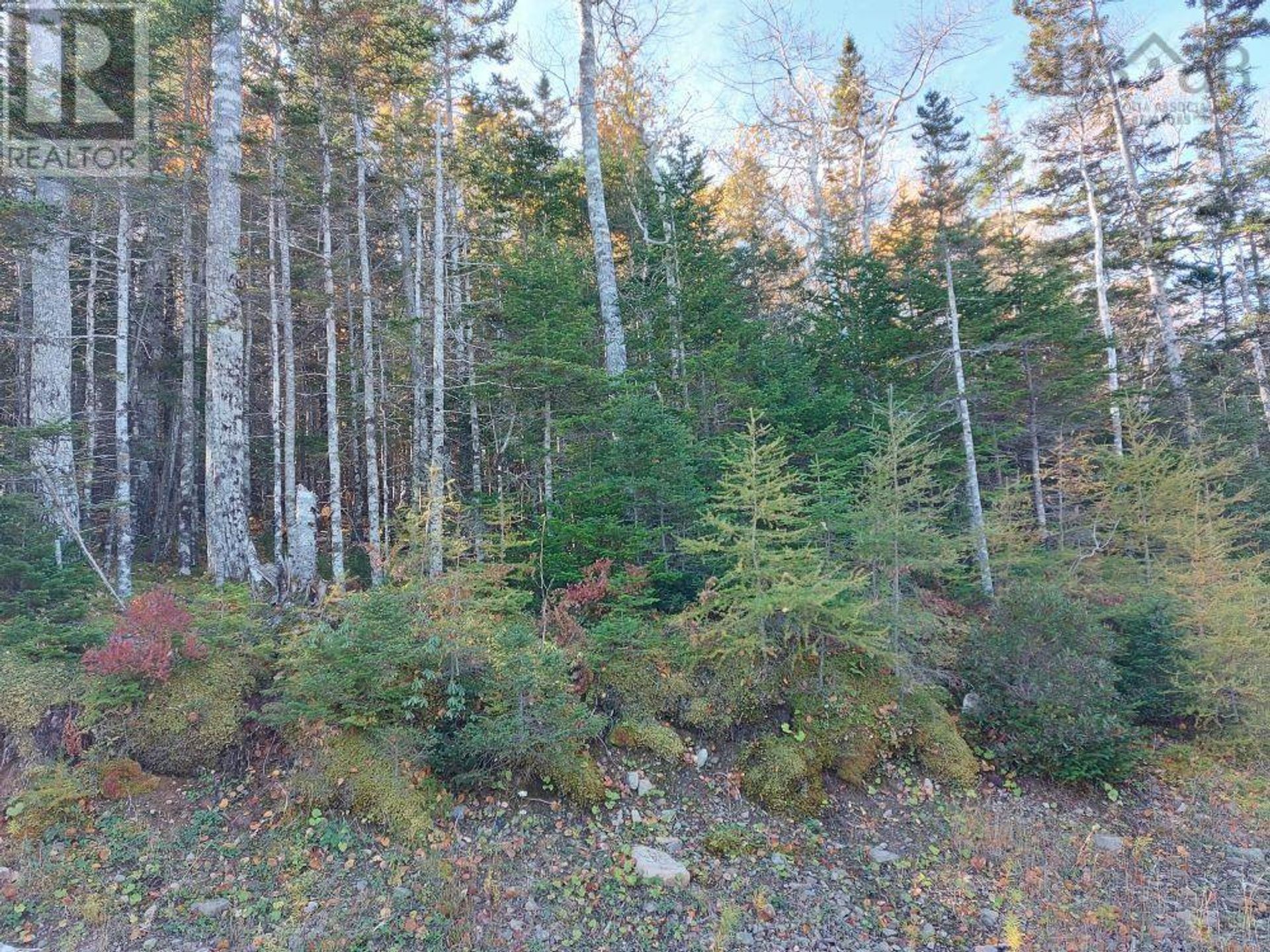 Land in Baddeck, Nova Scotia 10180583