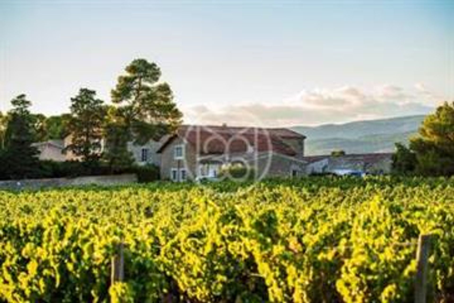 Haus im Villedubert, Occitanie 10180979