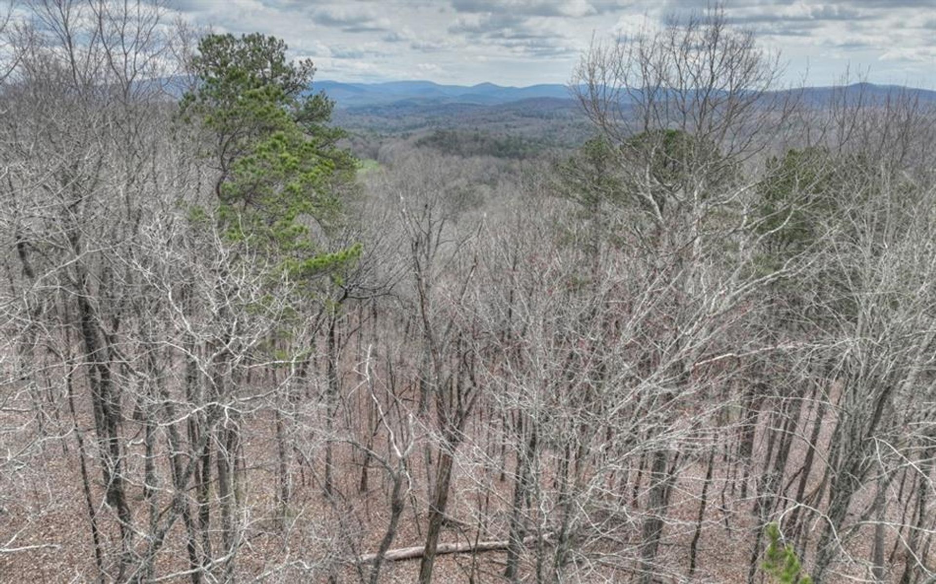 Land in Cartecay, Georgia 10181327