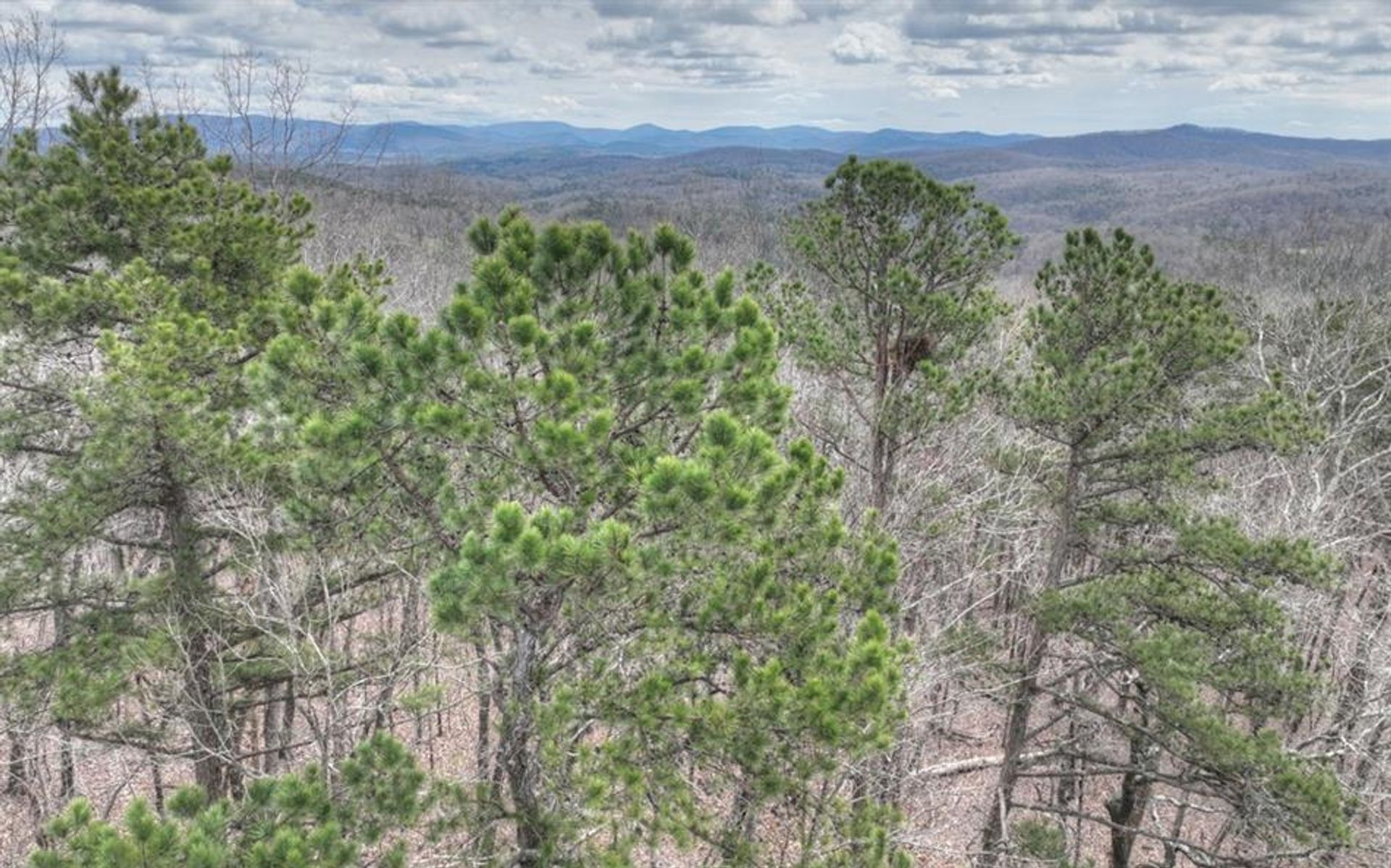 Land in , Georgia 10181328