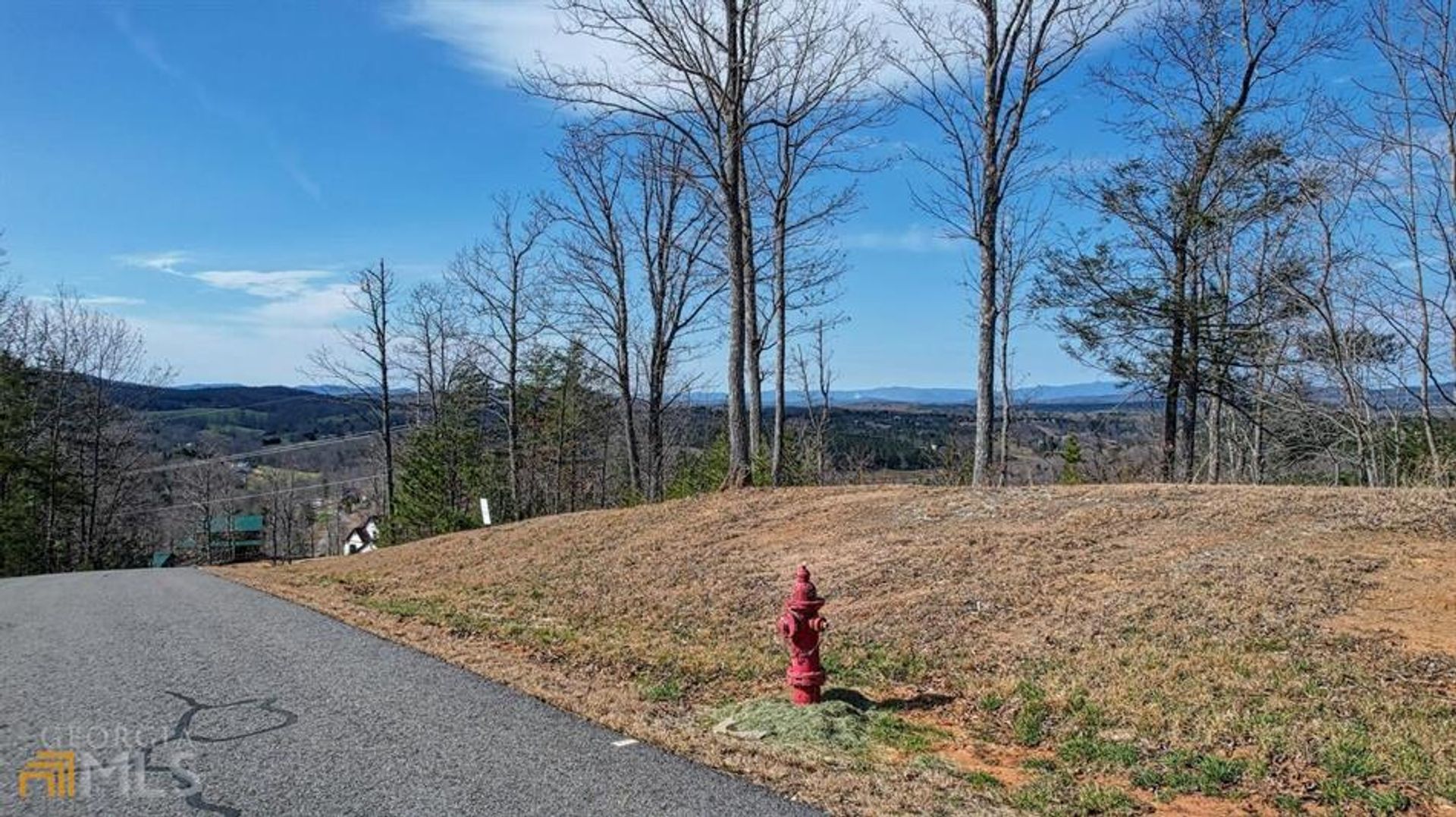 Land in Blairsville, Georgia 10181332