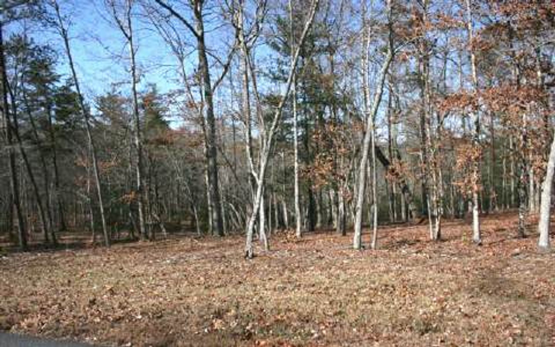 Tanah di Bukit Bunker, Georgia 10181336