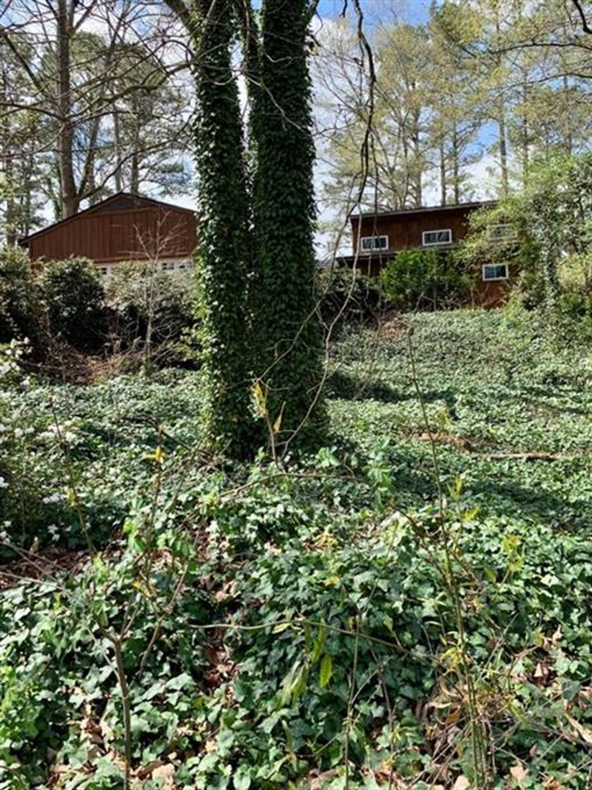 House in Blackwells, Georgia 10181352