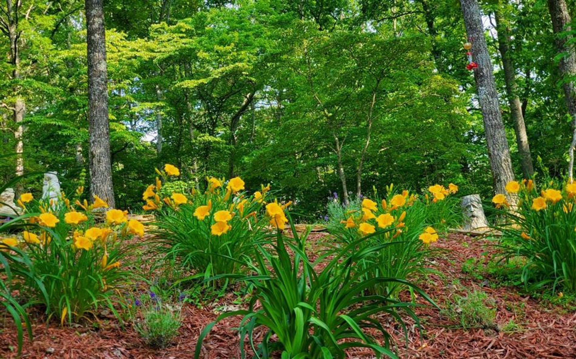 بيت في Mineral Bluff, Georgia 10181450